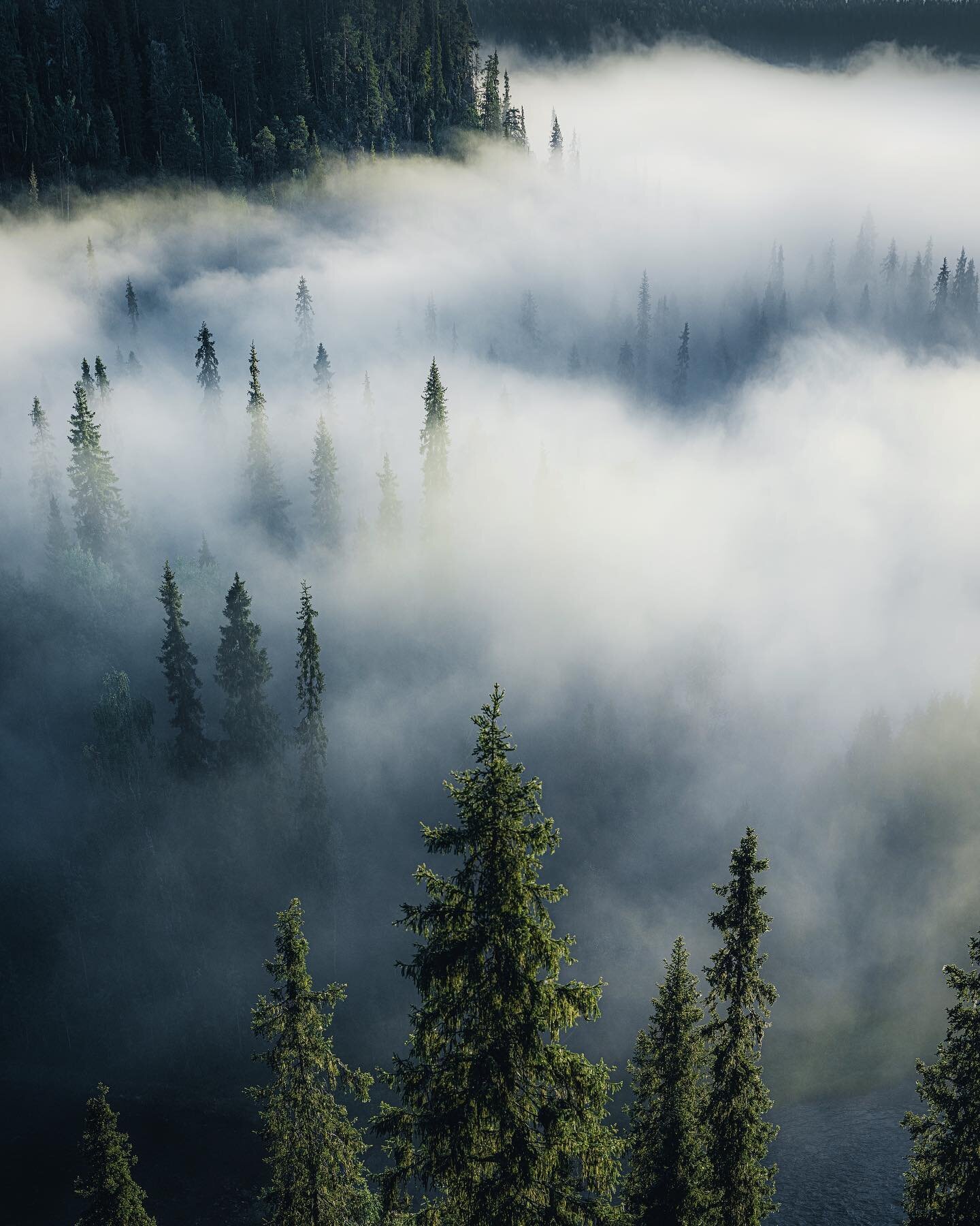 ~ Foggy scenes in Kuusamo Finland. 
Decided to spend this week chasing fog and the last summer feeling before autumn slowly crawls in. The first two mornings have been incredible with foggy scenes making everything look dreamy. Hope everyone is havin