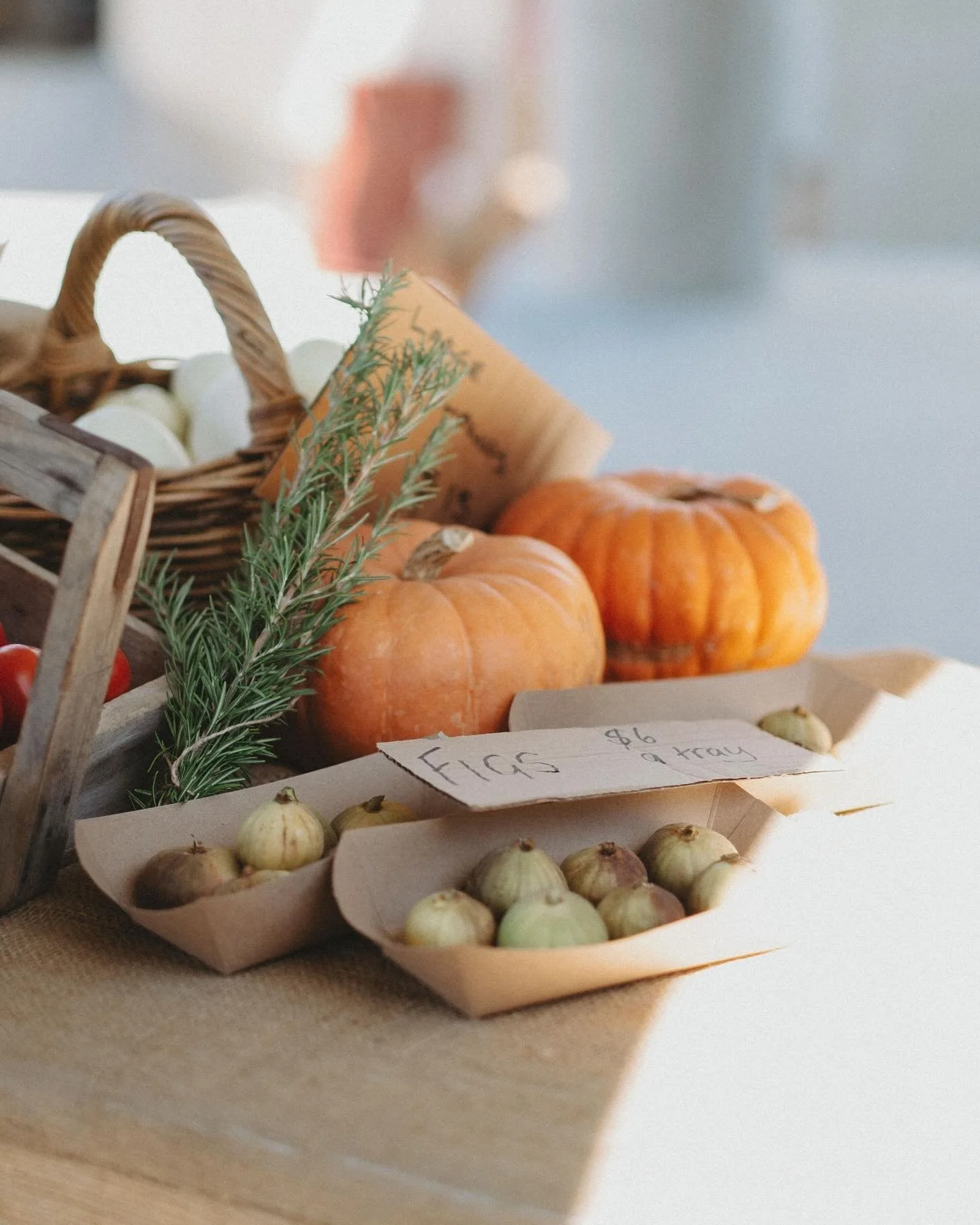 Shop / product coverage 📸