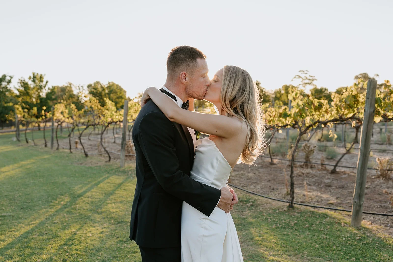 Morrisons Winery