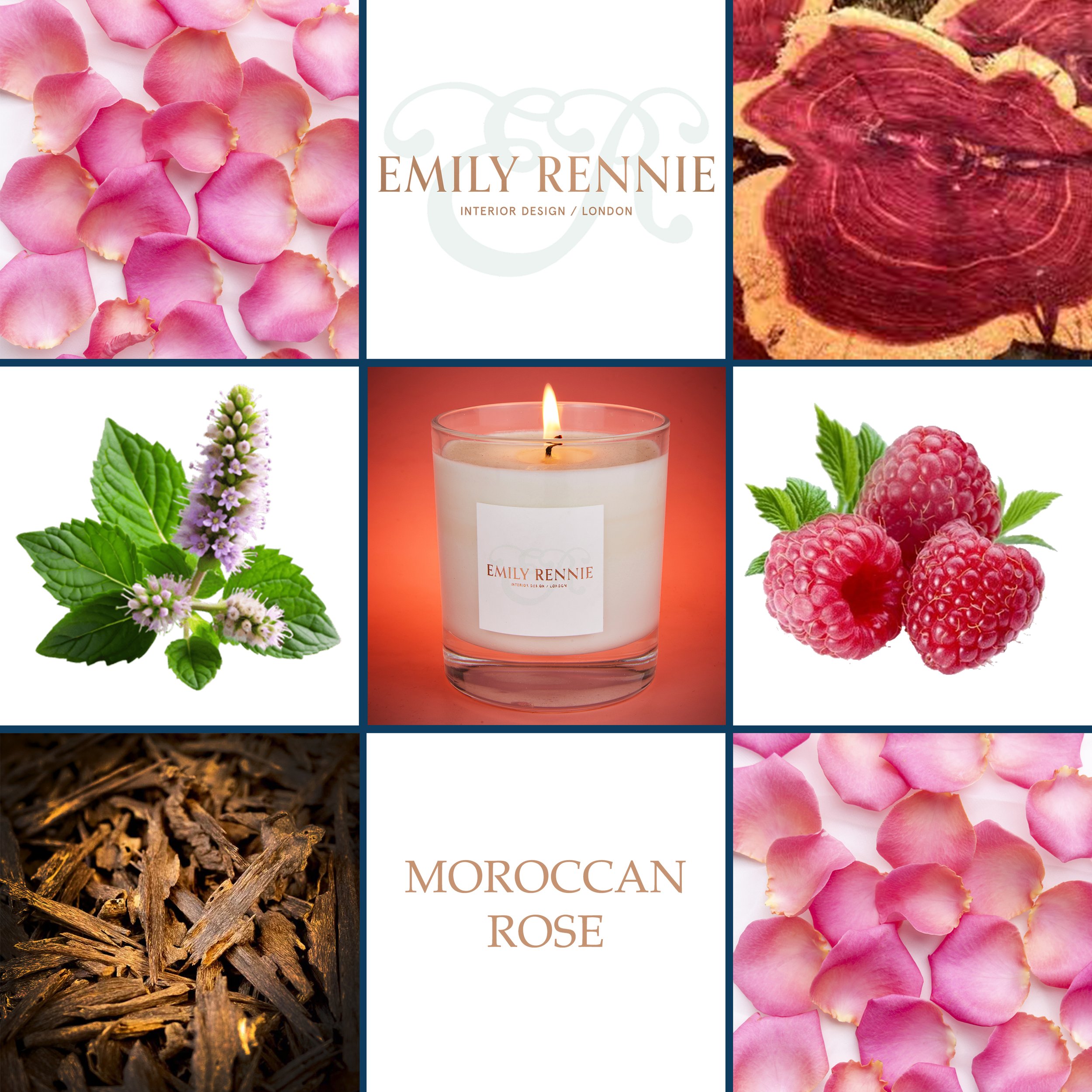 Moroccan rose 9 sq .jpg