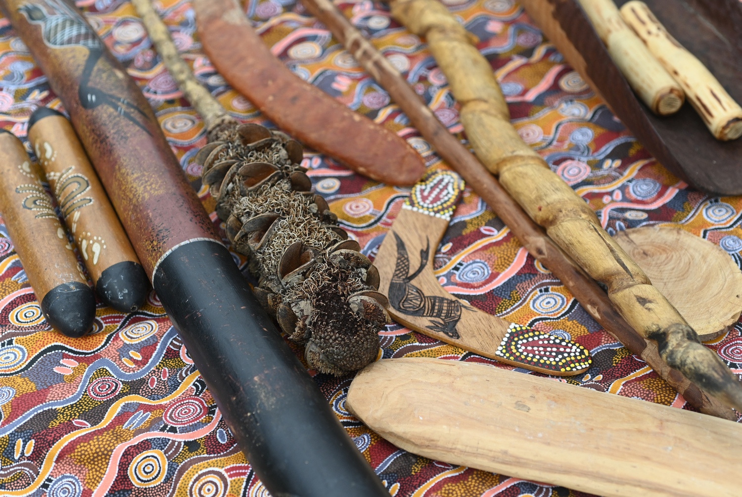 For Indigenous Finds — Found a Fossil