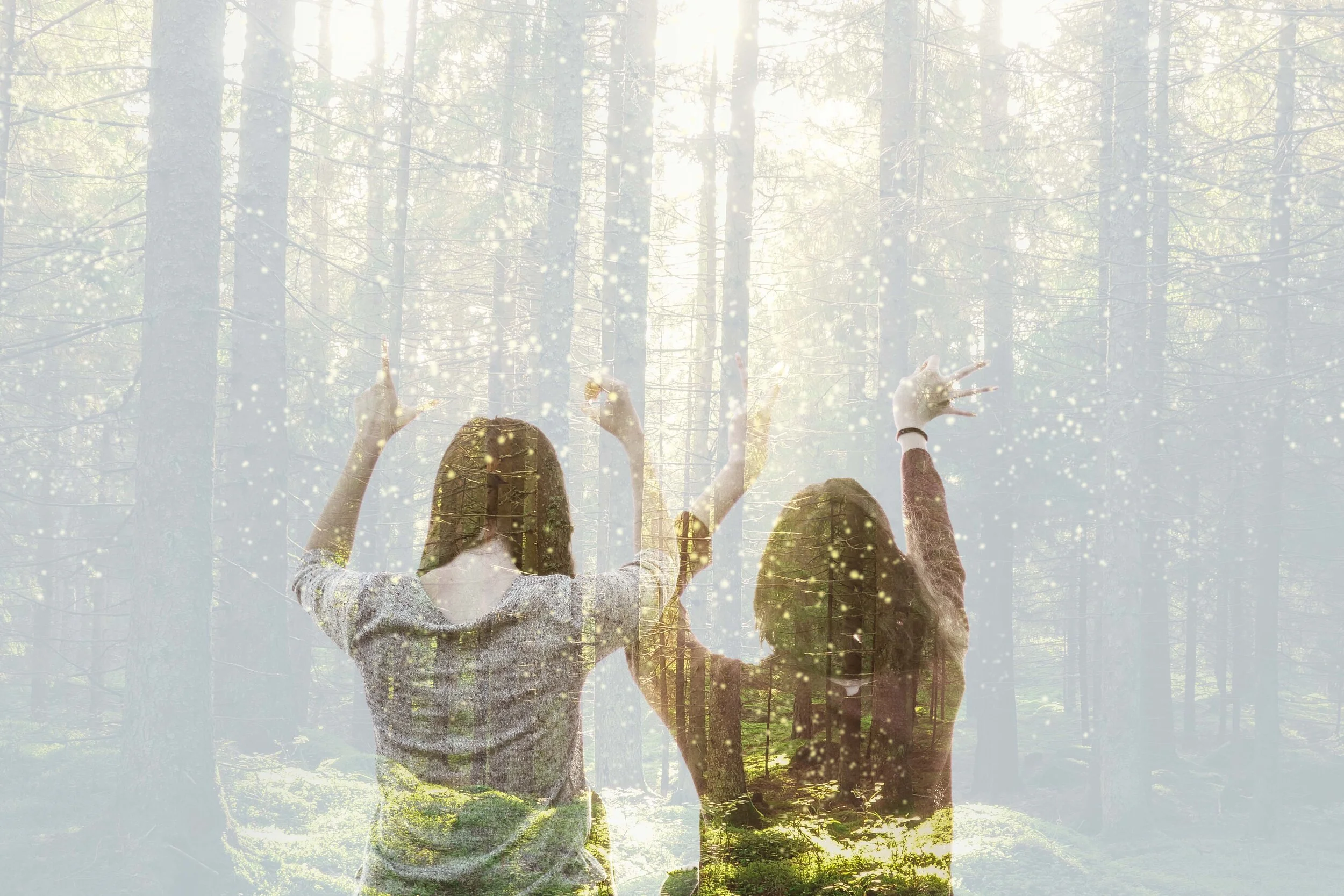 The Wellbeing Ritual Club