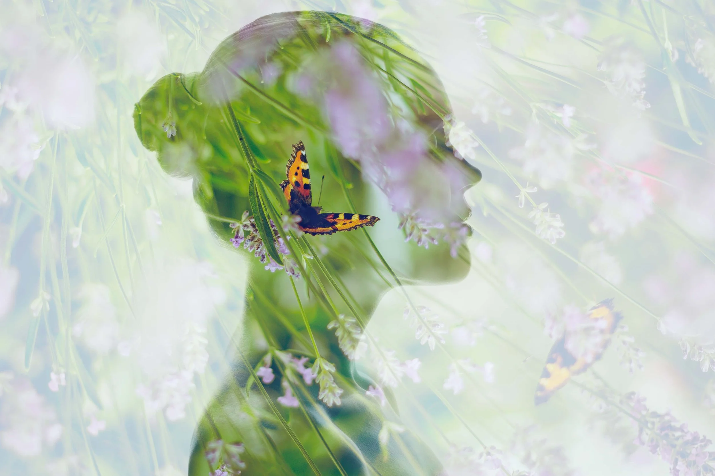 Silhouette of a woman's profile blended with a field of purple flowers and a butterfly.