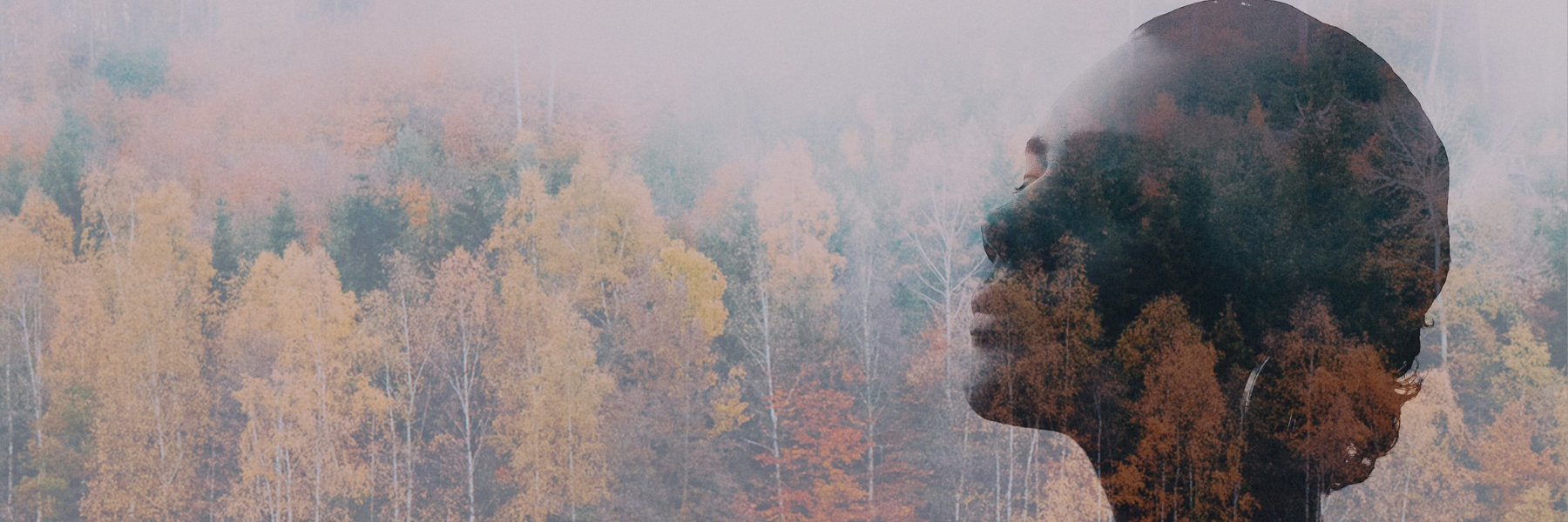 Silhouette of a woman's face overlaid with an autumn forest of colorful trees.