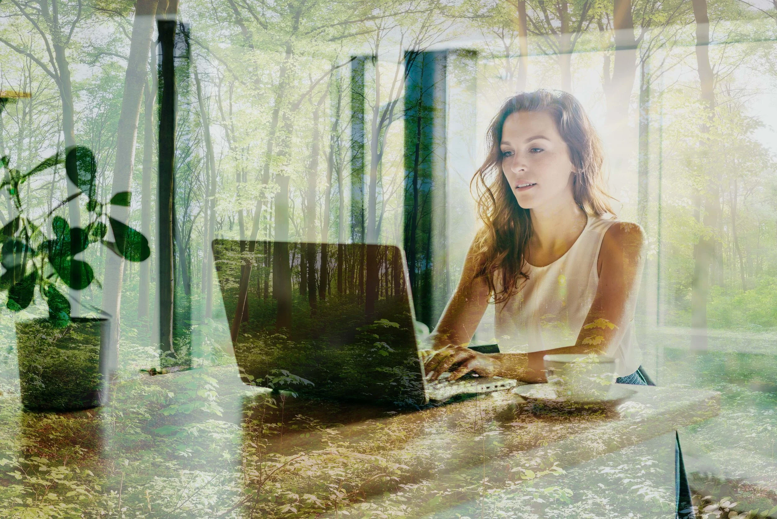 A woman working on her laptop indoors with a large window showing a forest outside.