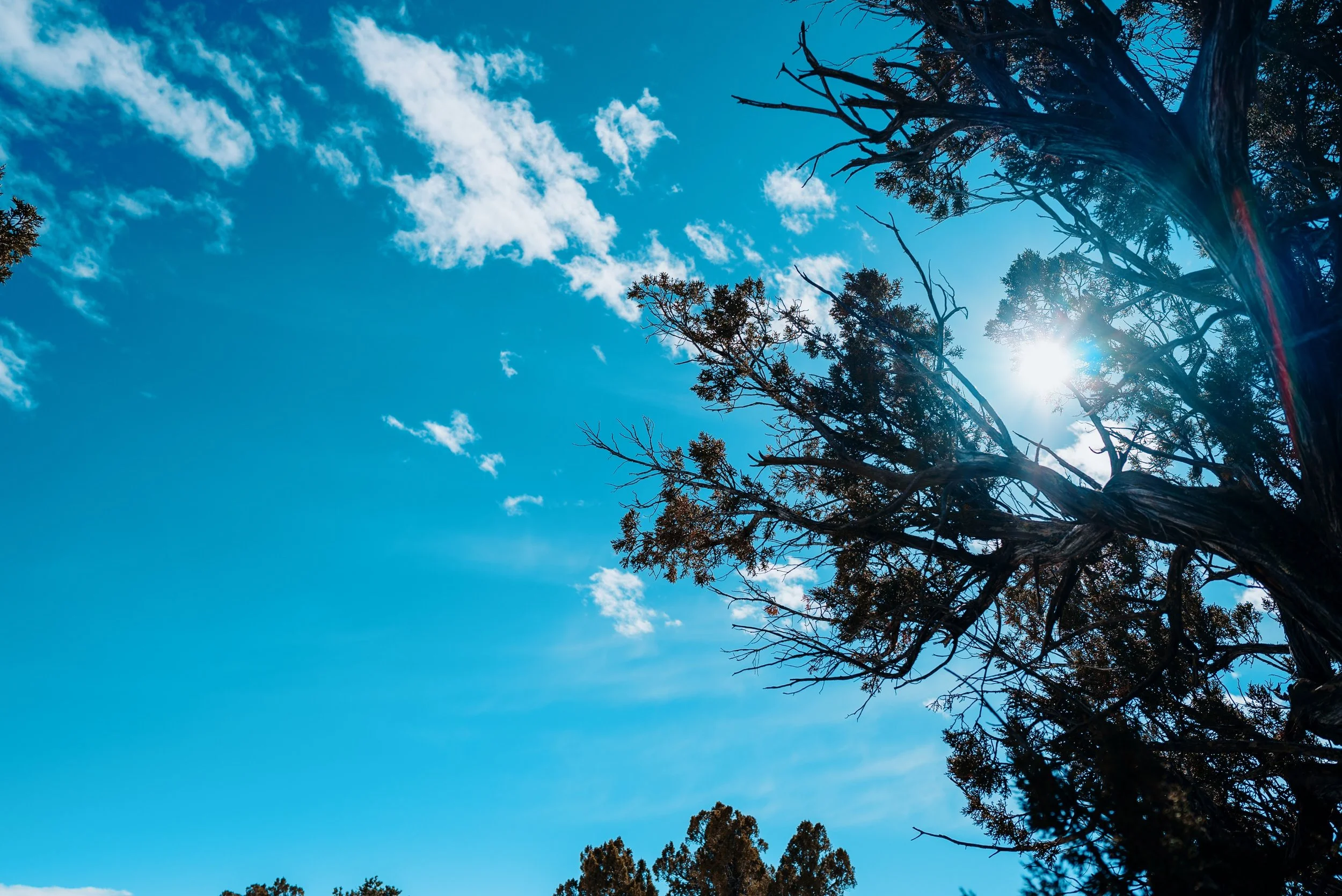 Landscapes_00140.jpg