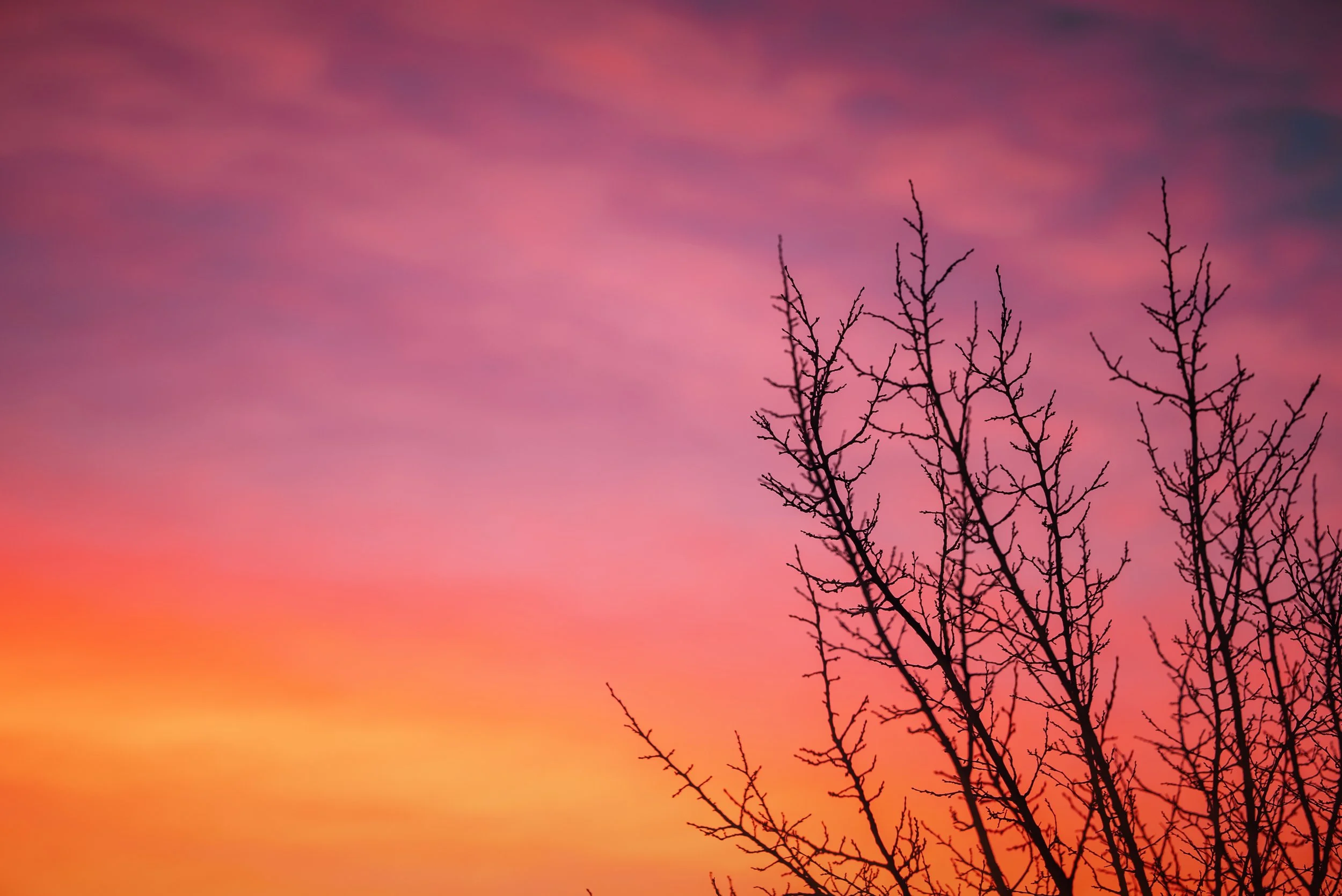 Landscapes_00003.jpg