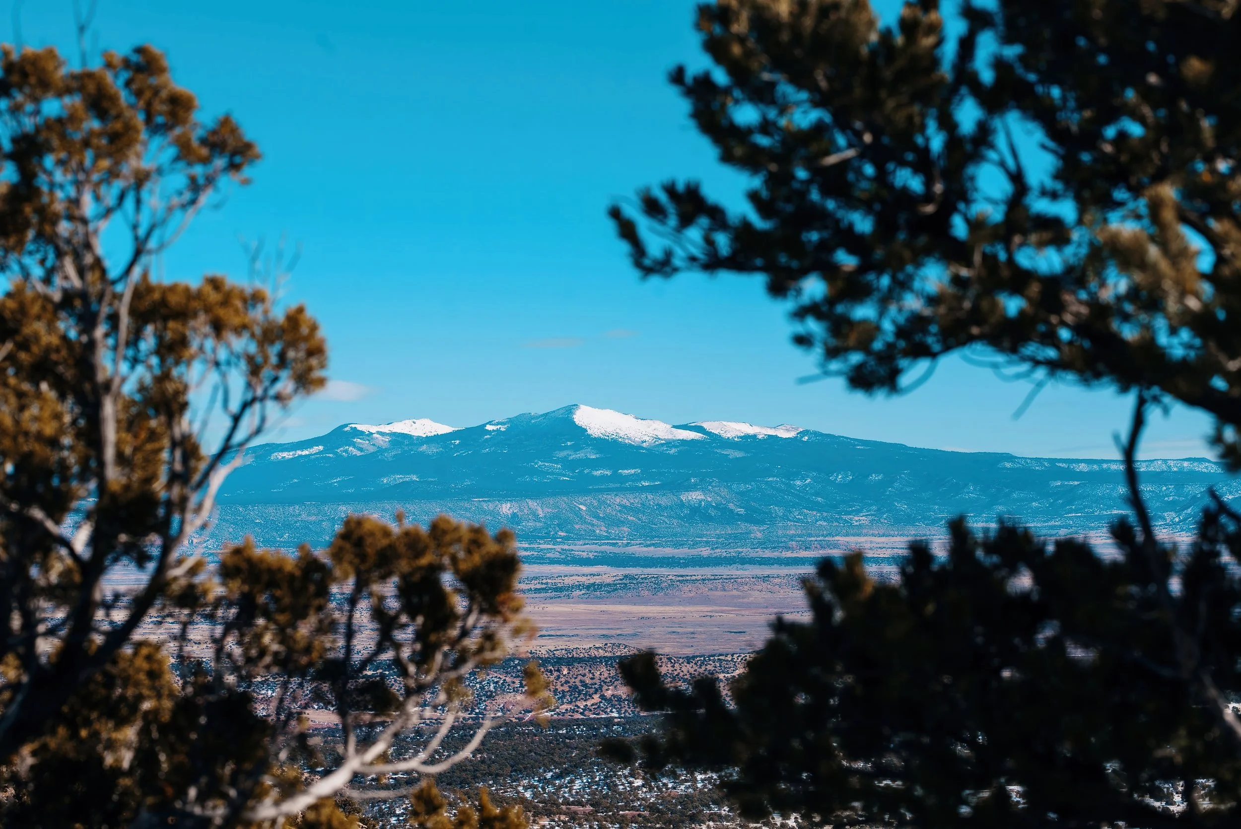 Landscapes_00124-standard-scale-2_00x.jpg