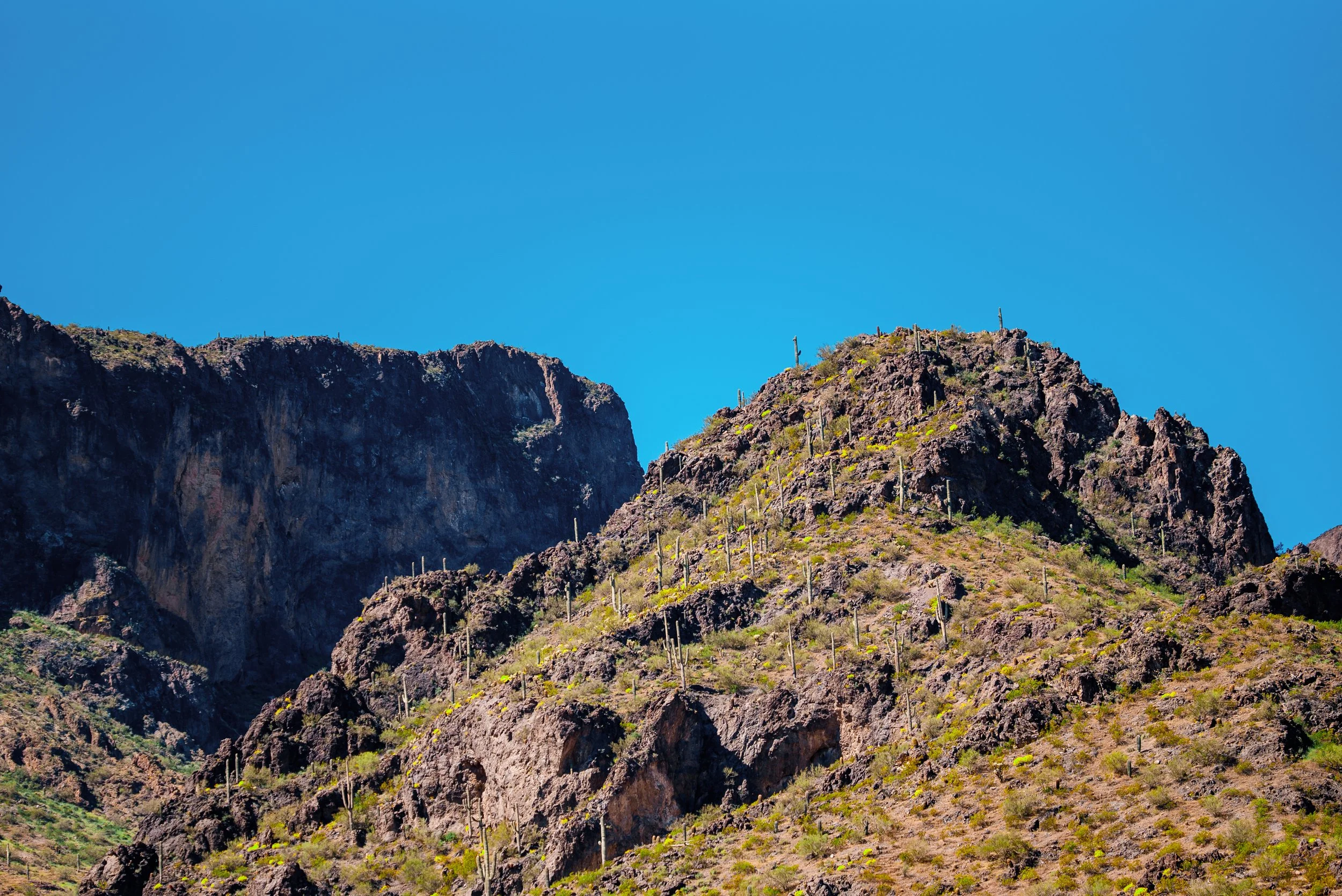 Landscapes_00008.jpg