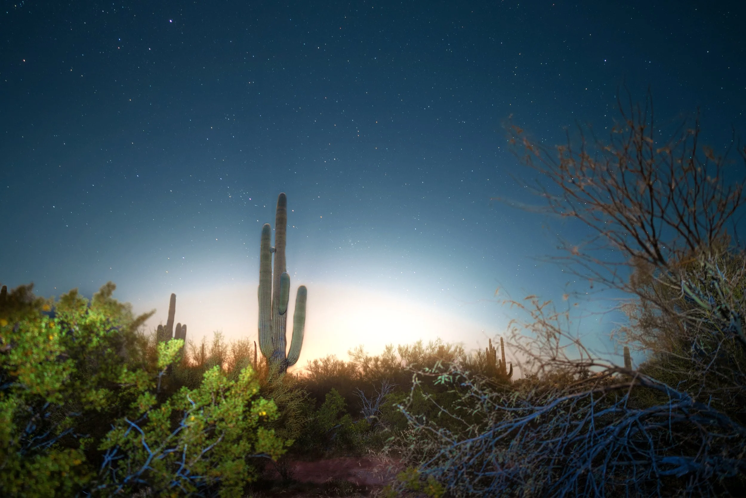 Landscapes_00000.jpg