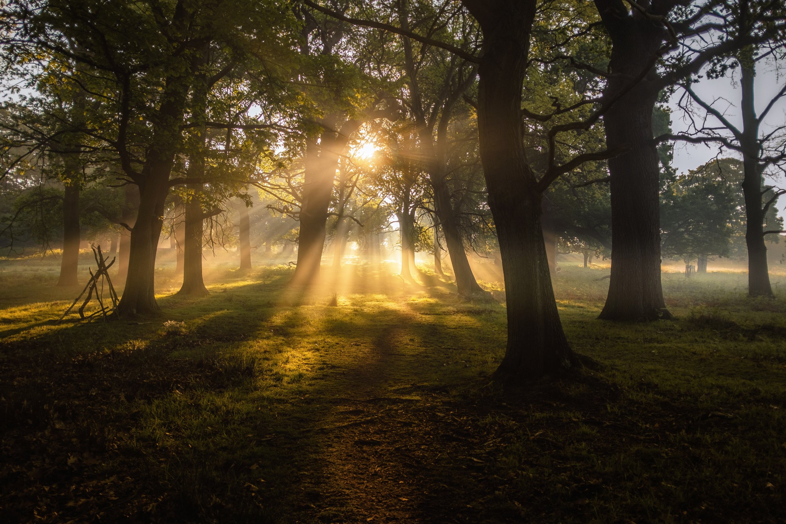 The Soul and Personhood