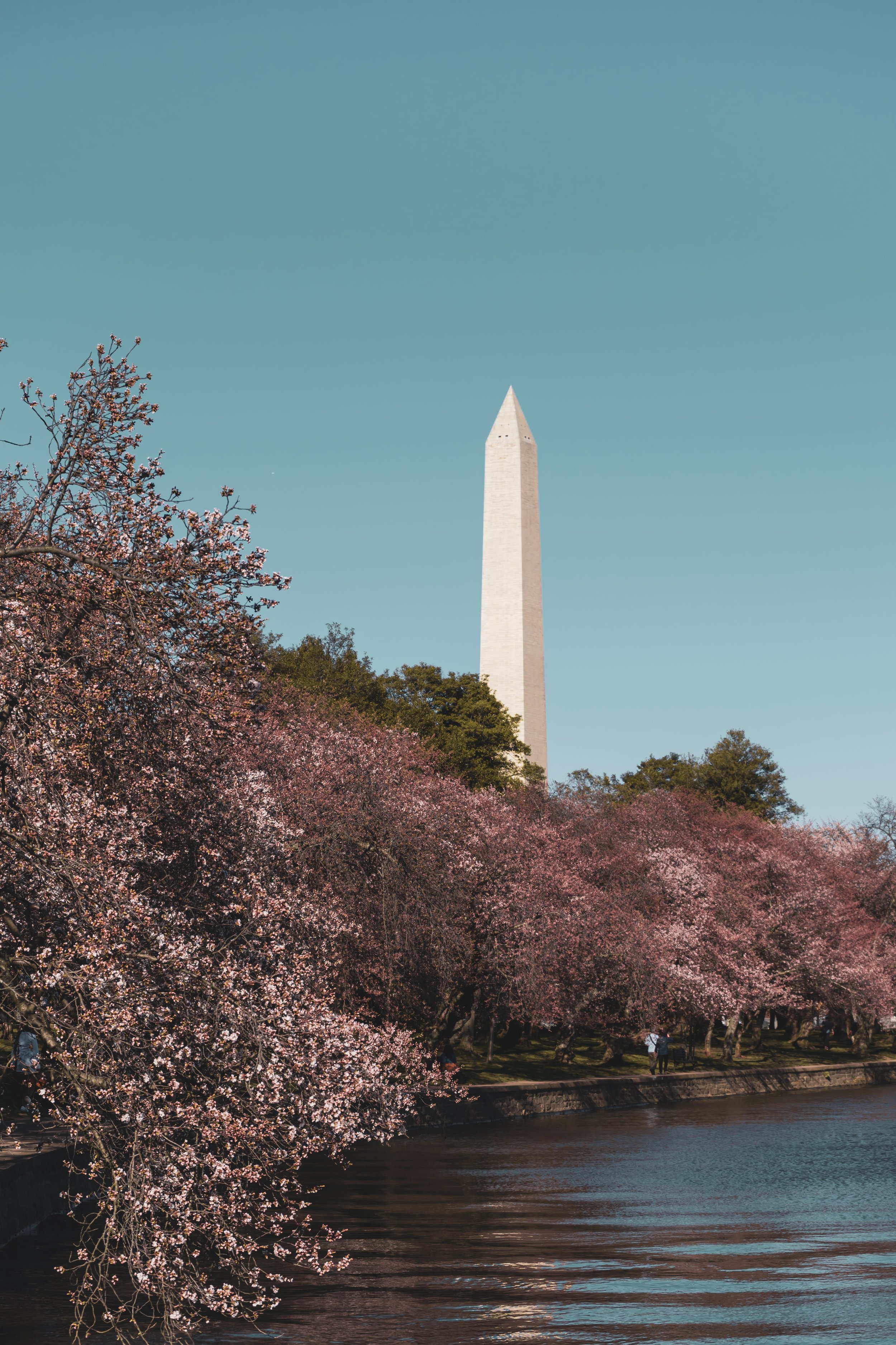 The World We Live In — Introduction to Issue 3: Political Philosophy