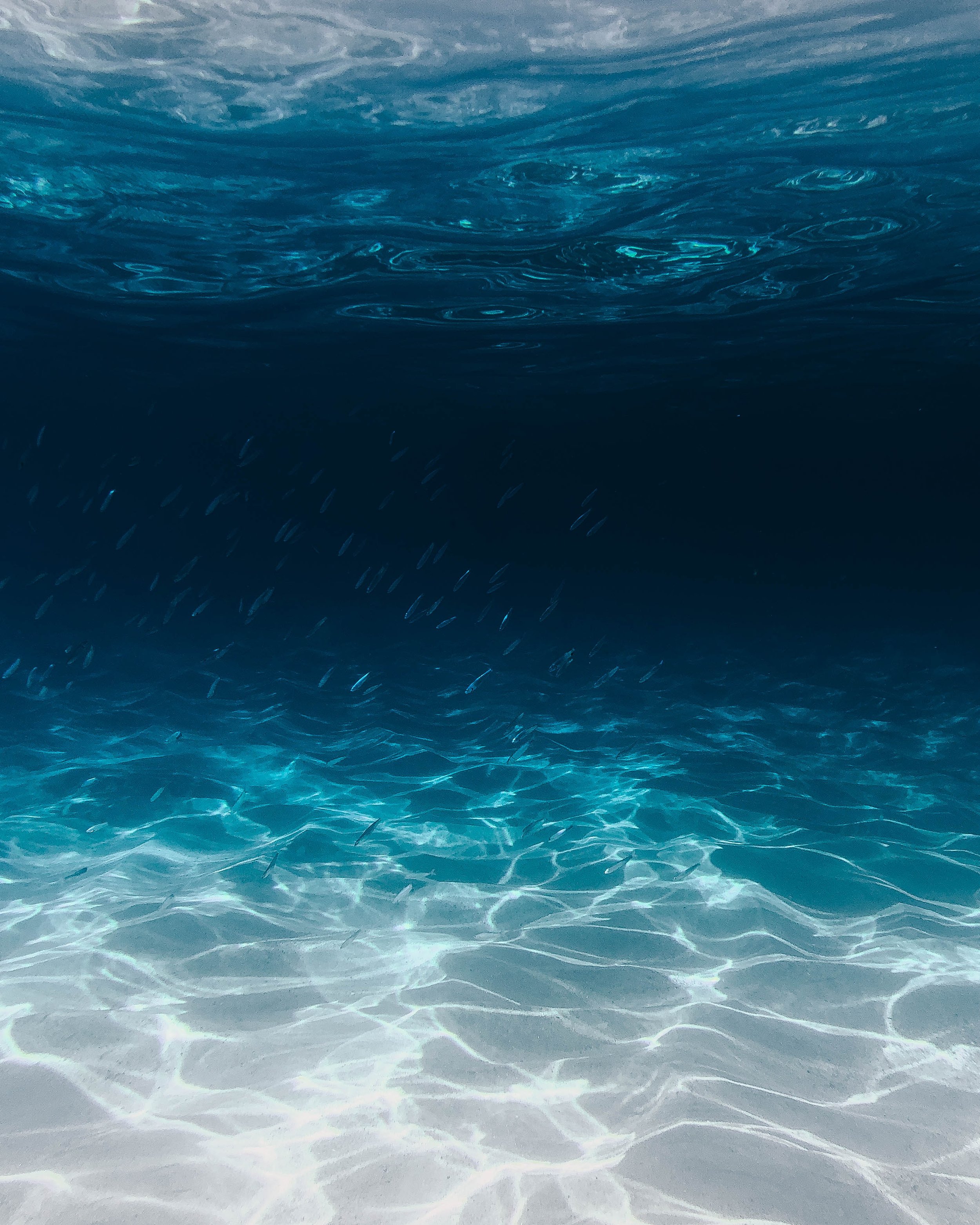 Beyond (and Before) Reality — Introduction to Issue 4: Metaphysics