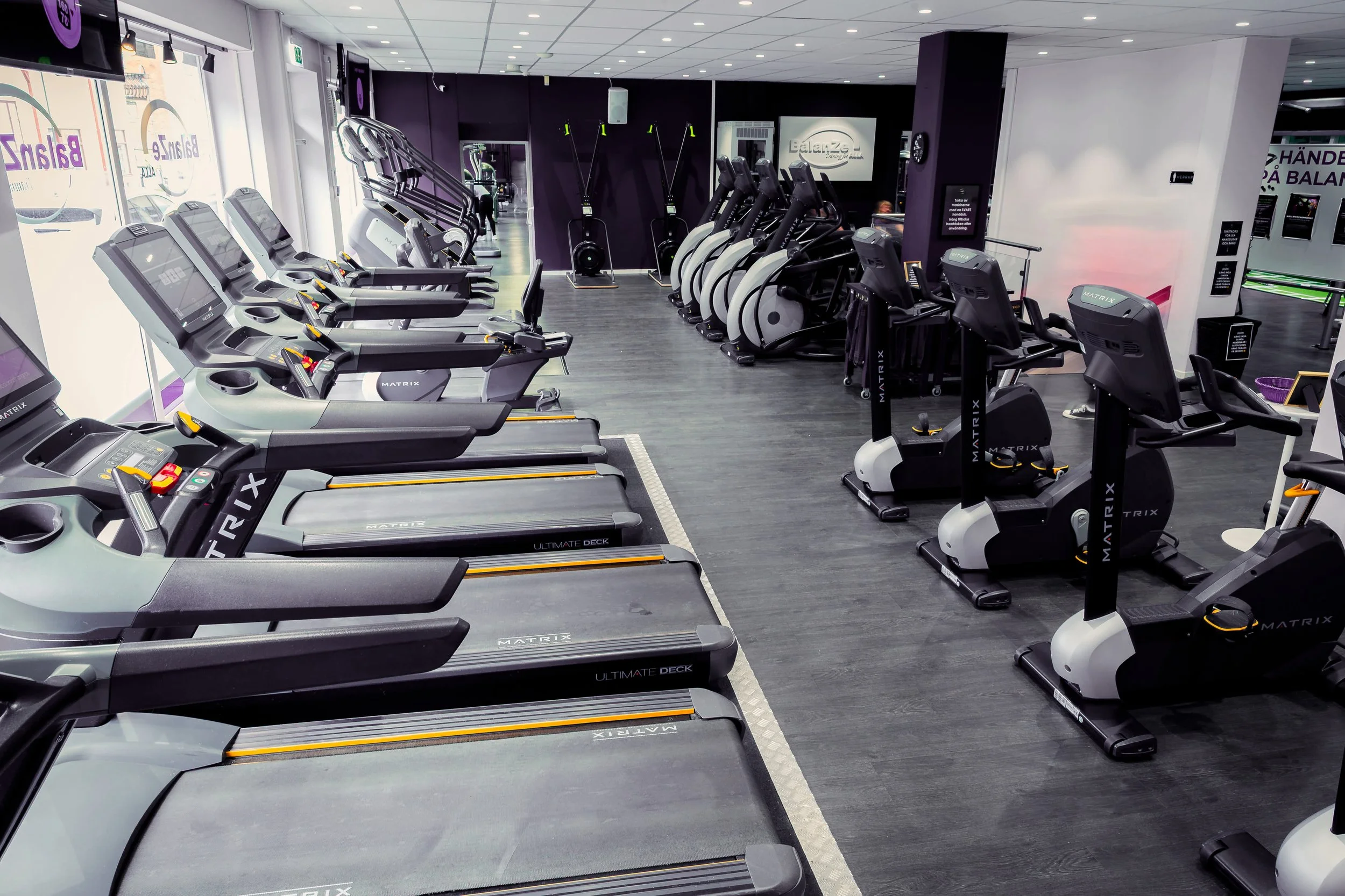 Gym med skivstänger och vikter