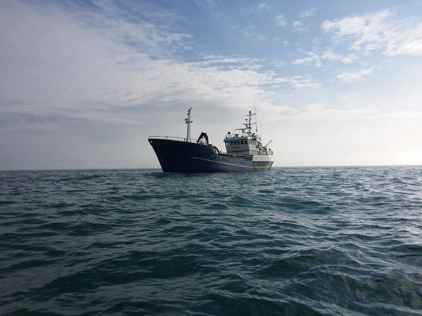 Aspire Malene 8.jpeg