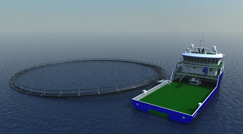 Aspire Helena 5.jpeg