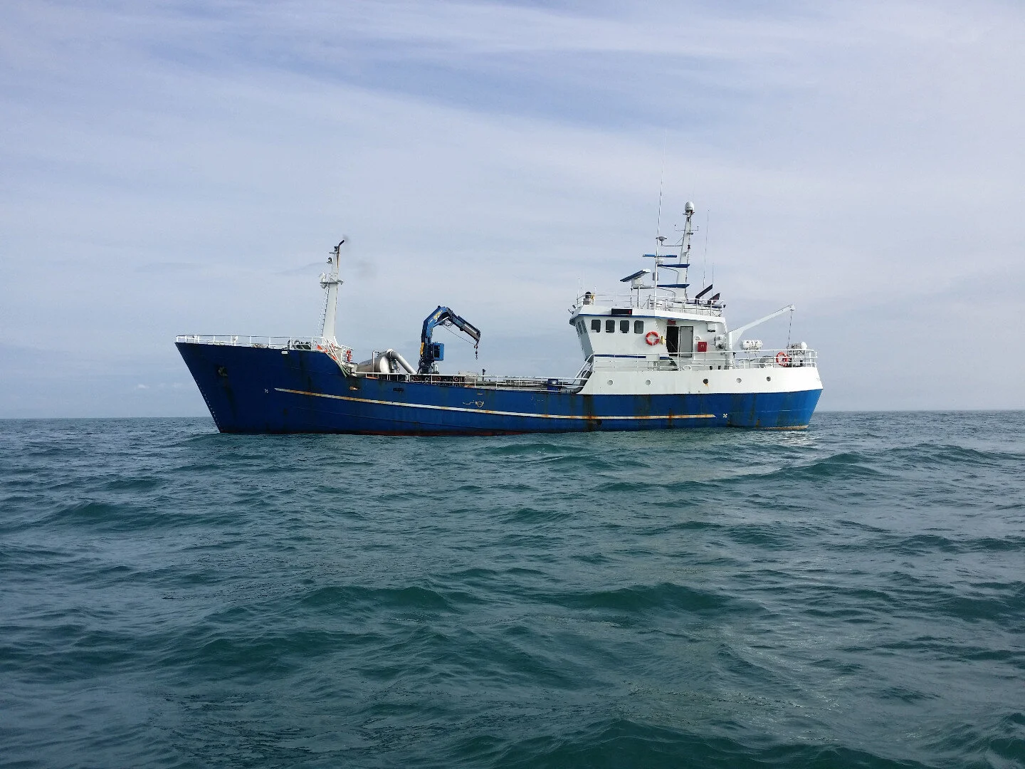 Aspire Malene 7.jpeg