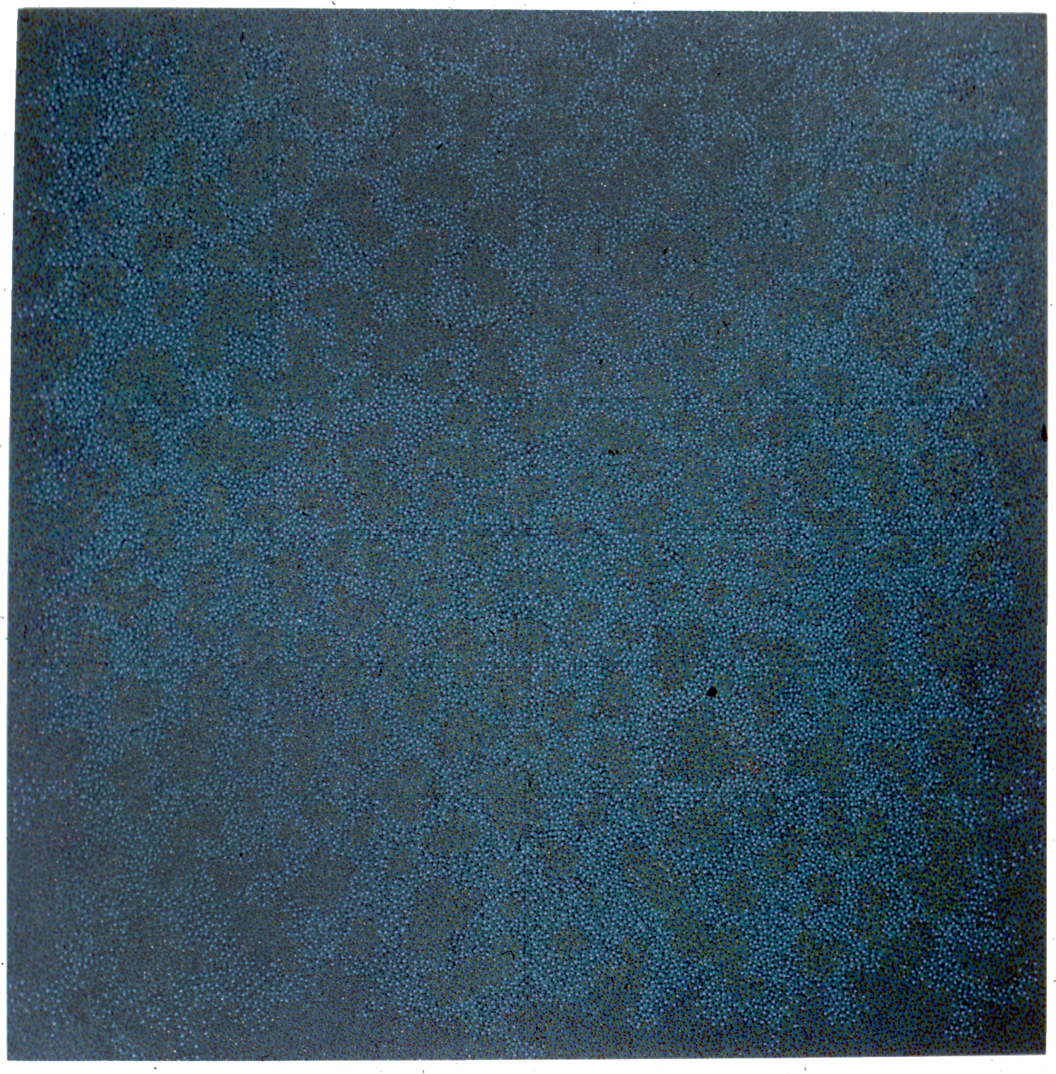 1970constellations copy.png