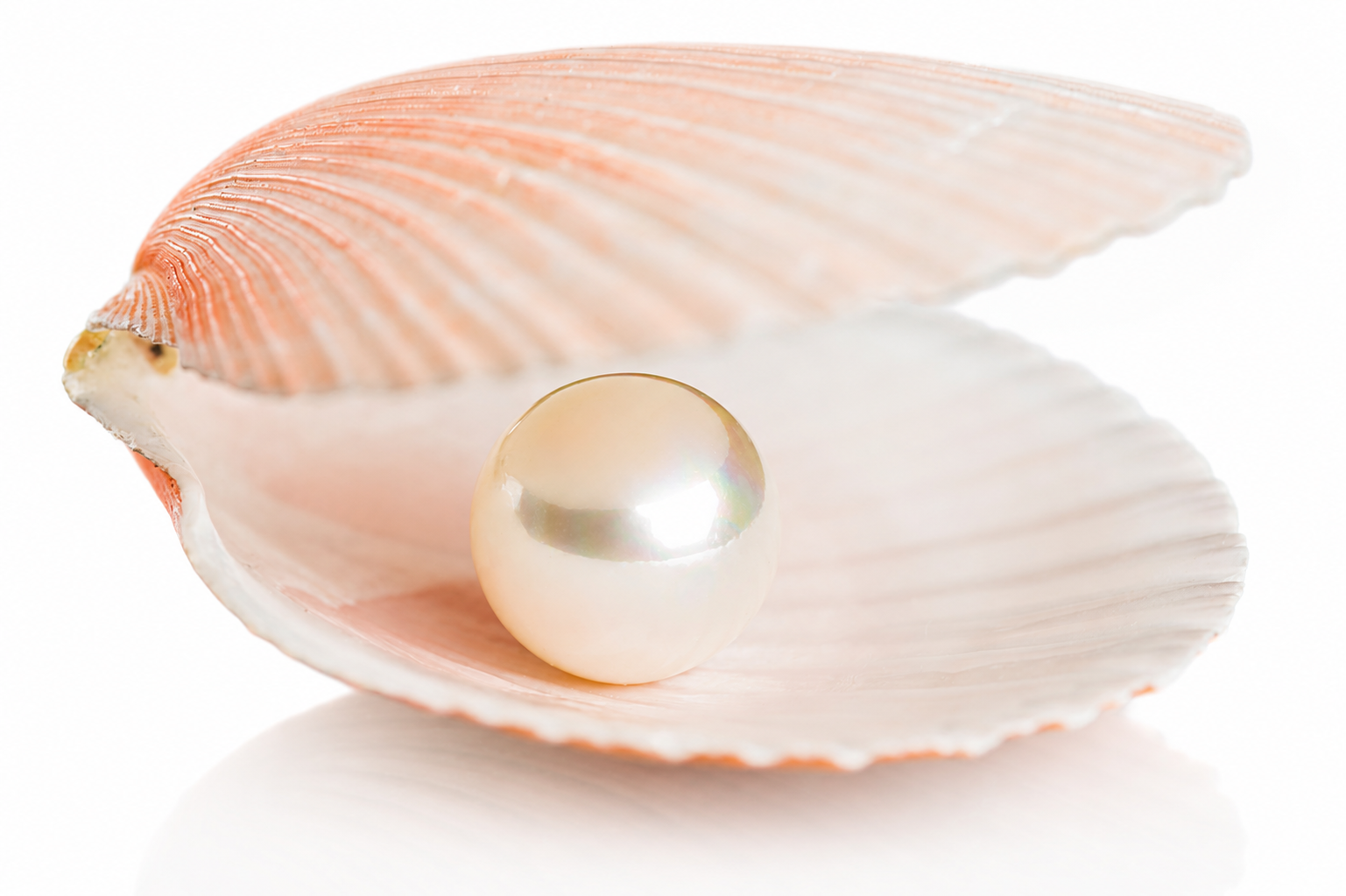 Moon - Pearl