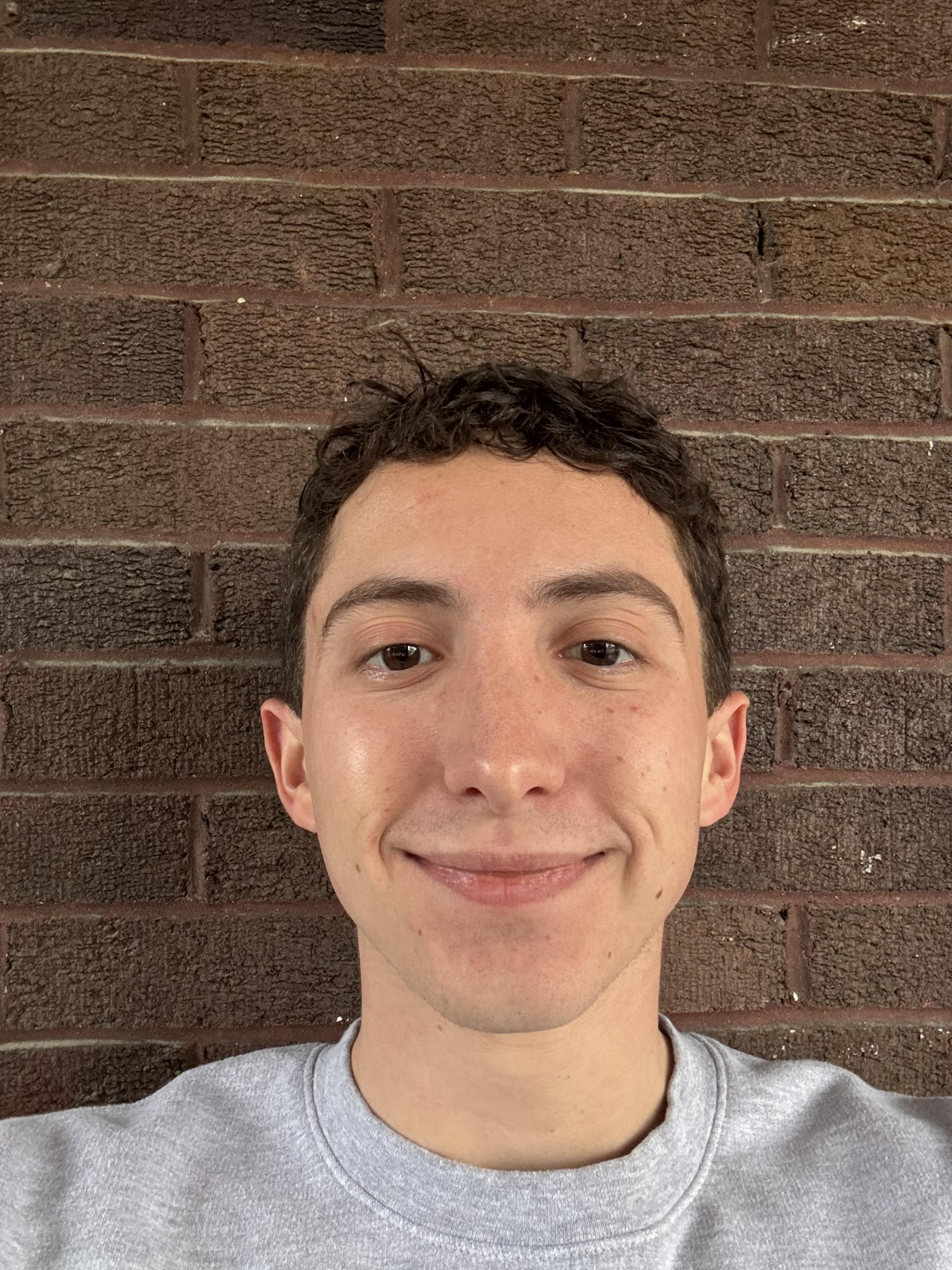 A young man with short, dark, curly hair and a light complexion, smiling slightly at the camera, wearing a gray sweatshirt, with a brick wall in the background.