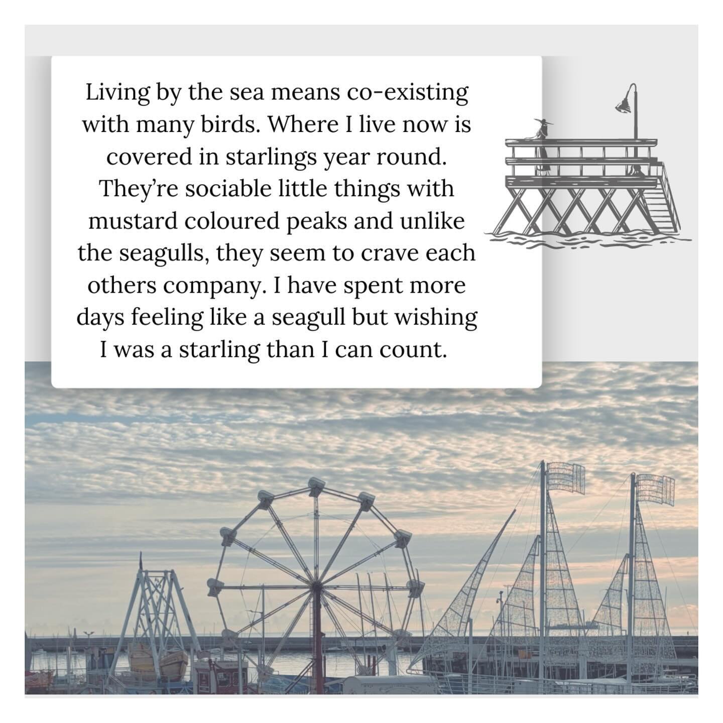 As usual, doing a photo dump is never enough for me - here&rsquo;s some recent #ScrapsOfLife ✨

August and September came in a flurry and passed in a blur but there were moments, some sticky, some beautiful, that I will want to remember. These are my