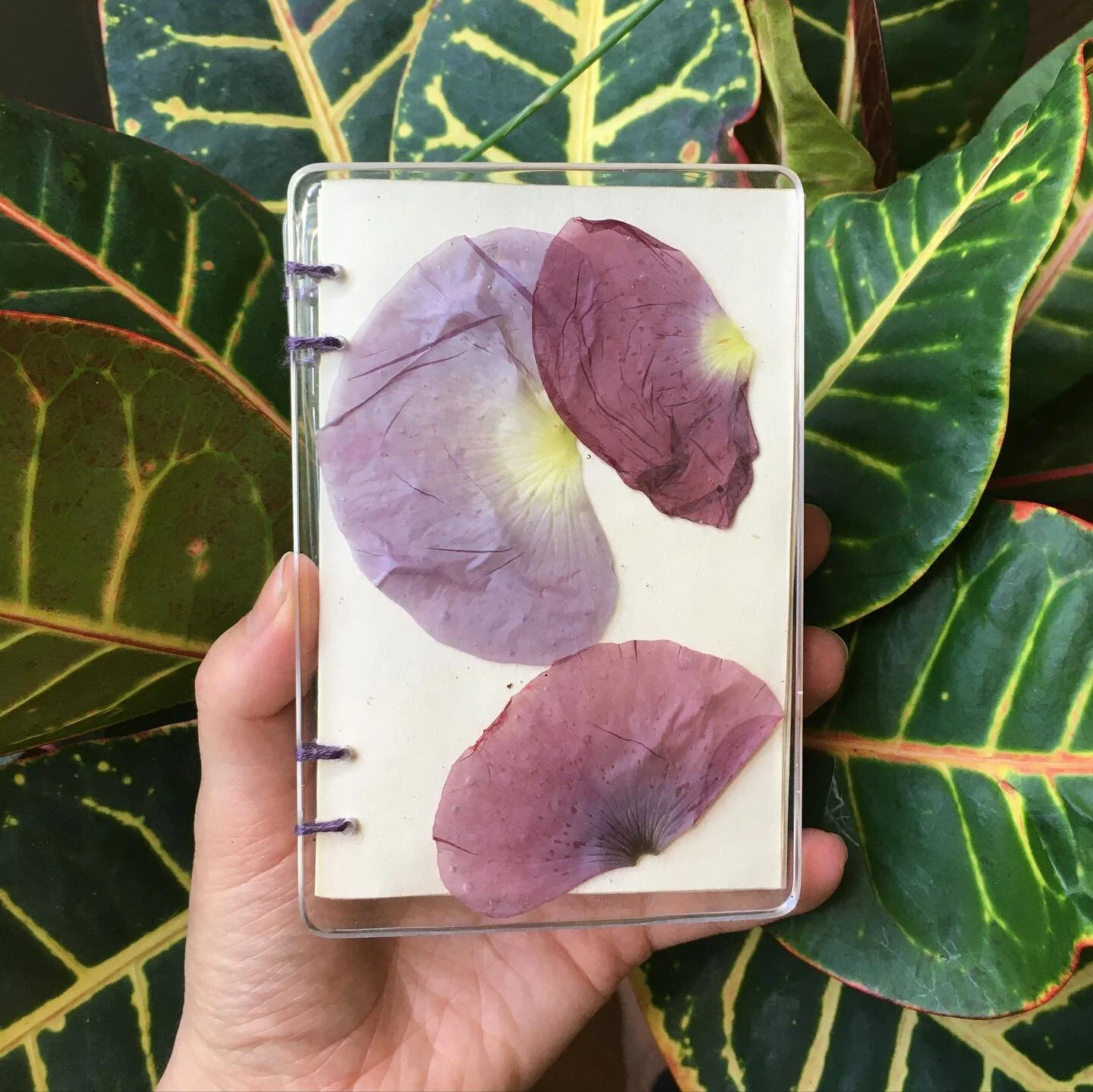 Goppy&rsquo;s Poppy&rsquo;s! Made this journal for myself ~ collected some fallen poppy petals from my Gape&rsquo;s garden this year. (We call my grandma Gape, pronounced *goppy*) The flower was originally red and the petals turned purple after I pre