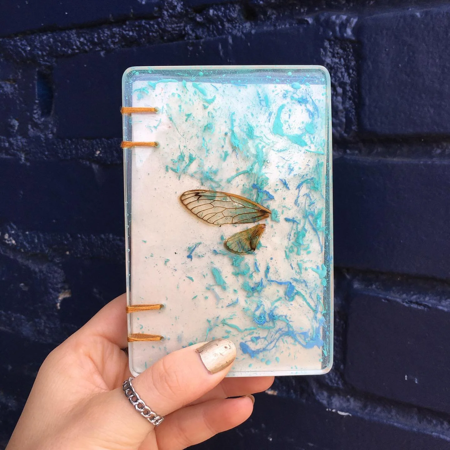 SOLD. Periodical cicadas are beneficial to the environment in a number of ways: their emergence tunnels in the ground act as a natural aeration of the soil; the insects serve as a food source for a variety of predators, which positively impacts those