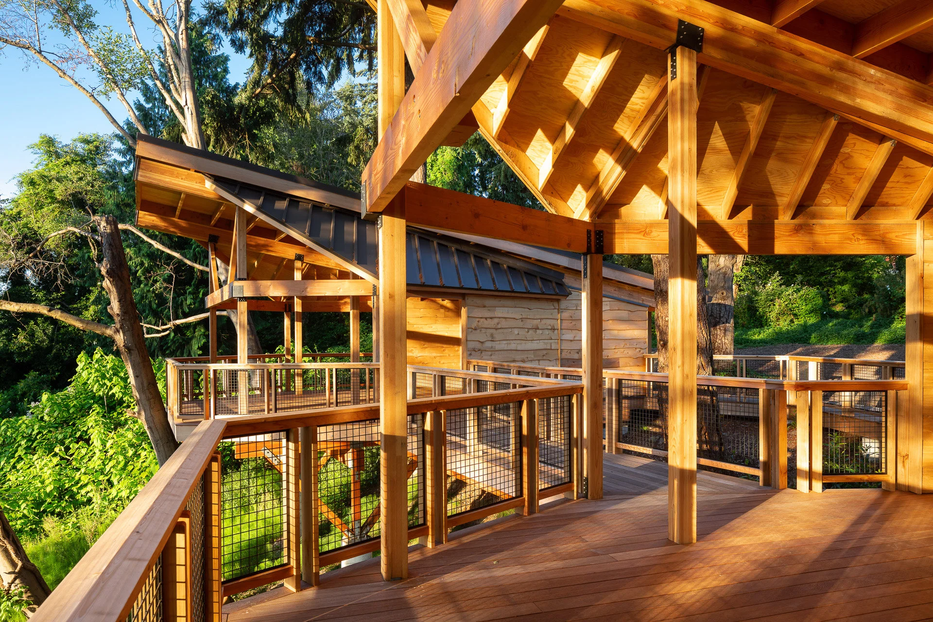 McNelis Architects