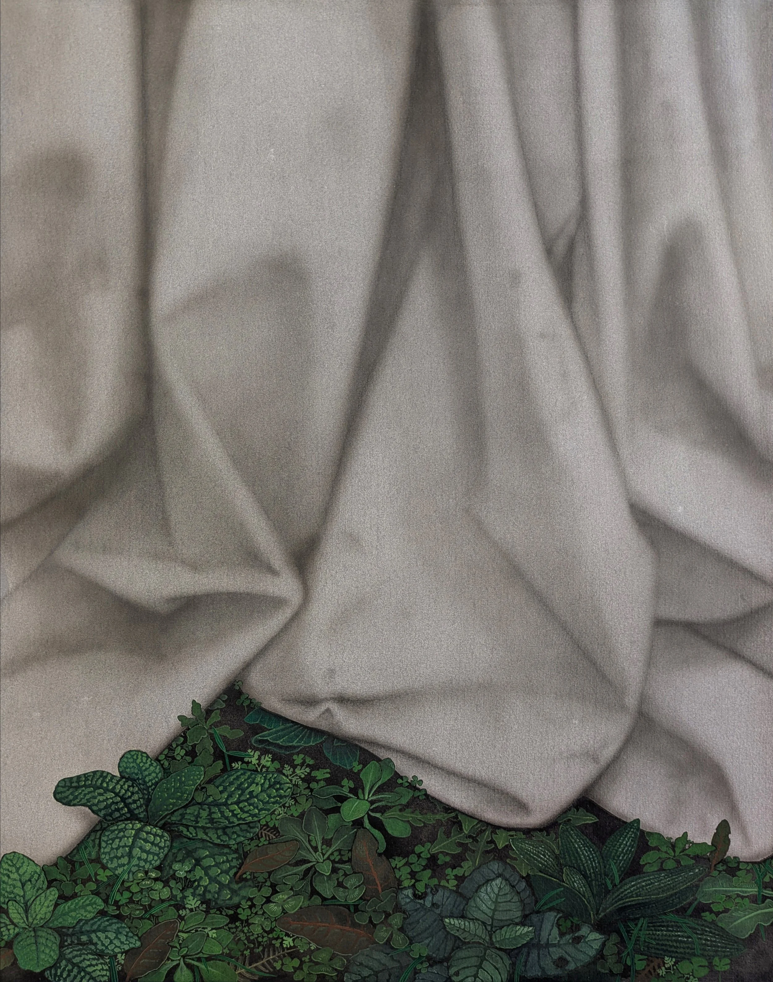 M 01, aquarelle et graphite, 40x50cm, 2026.jpg
