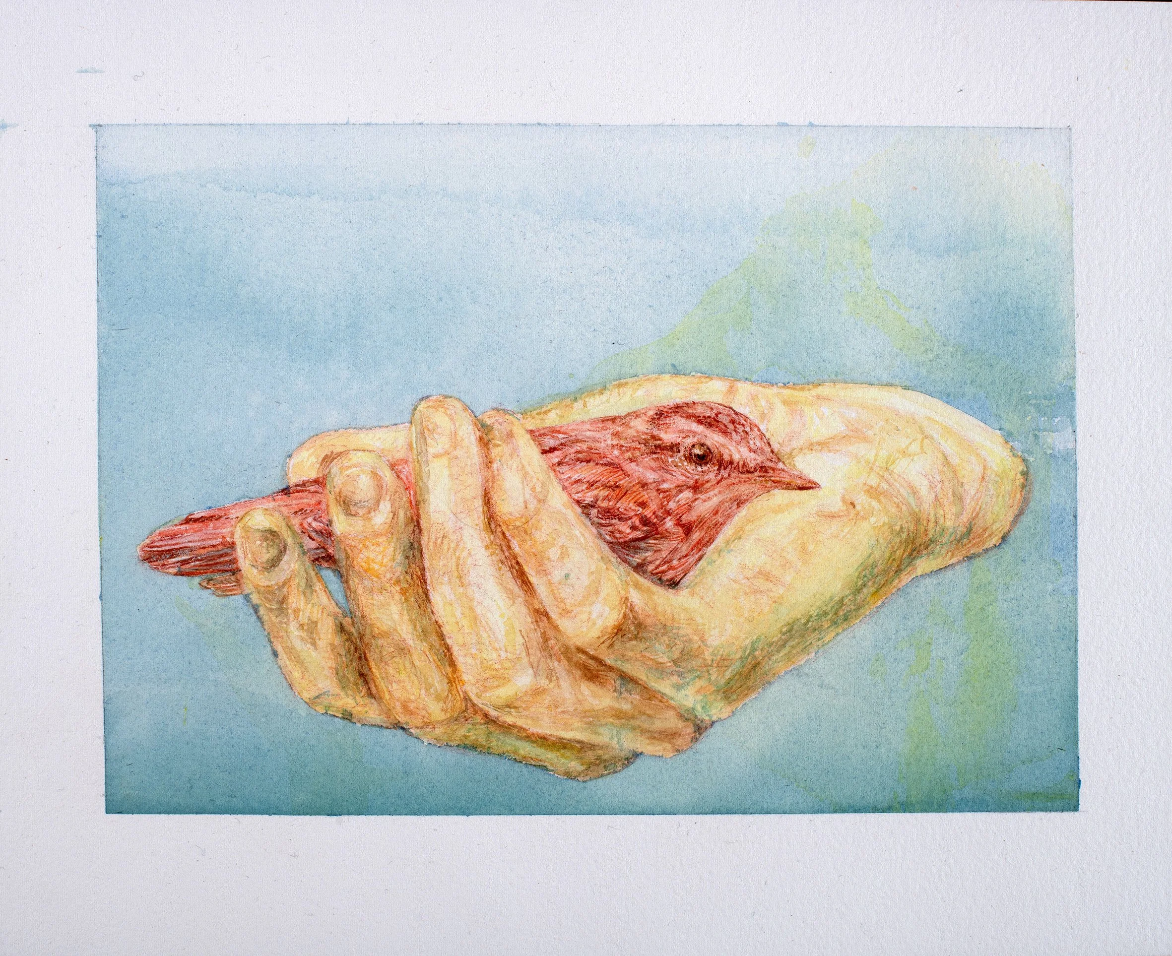 Iris Levasseur-Oiseau rouge dans main jaune-2025-Aquarelle-Watercolor-21,5x27cm-courtesy Iris Levasseur et Galerie Antoine Dupin.jpg