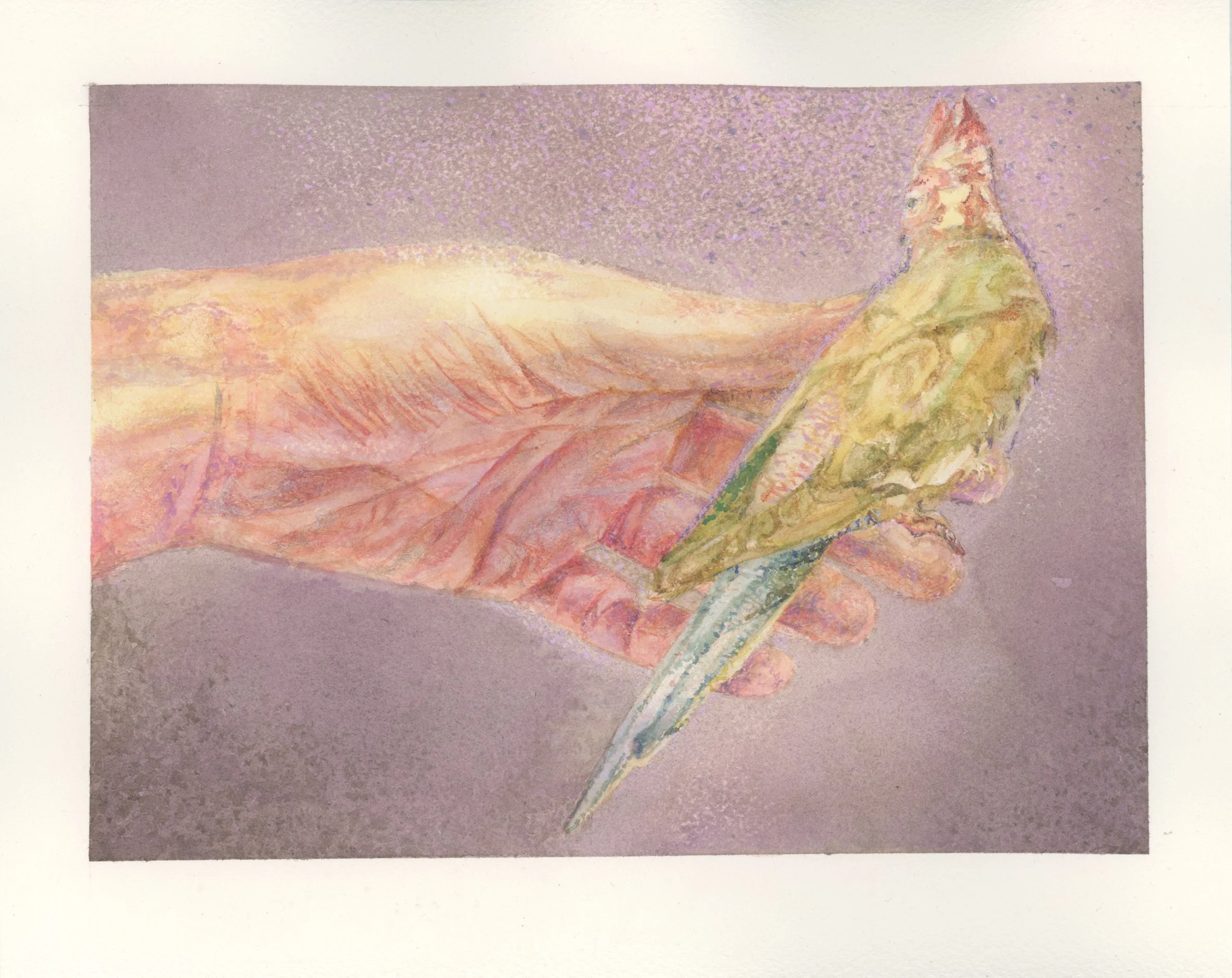 peruch-verte-fond-viol-2025-3 Mo.jpg