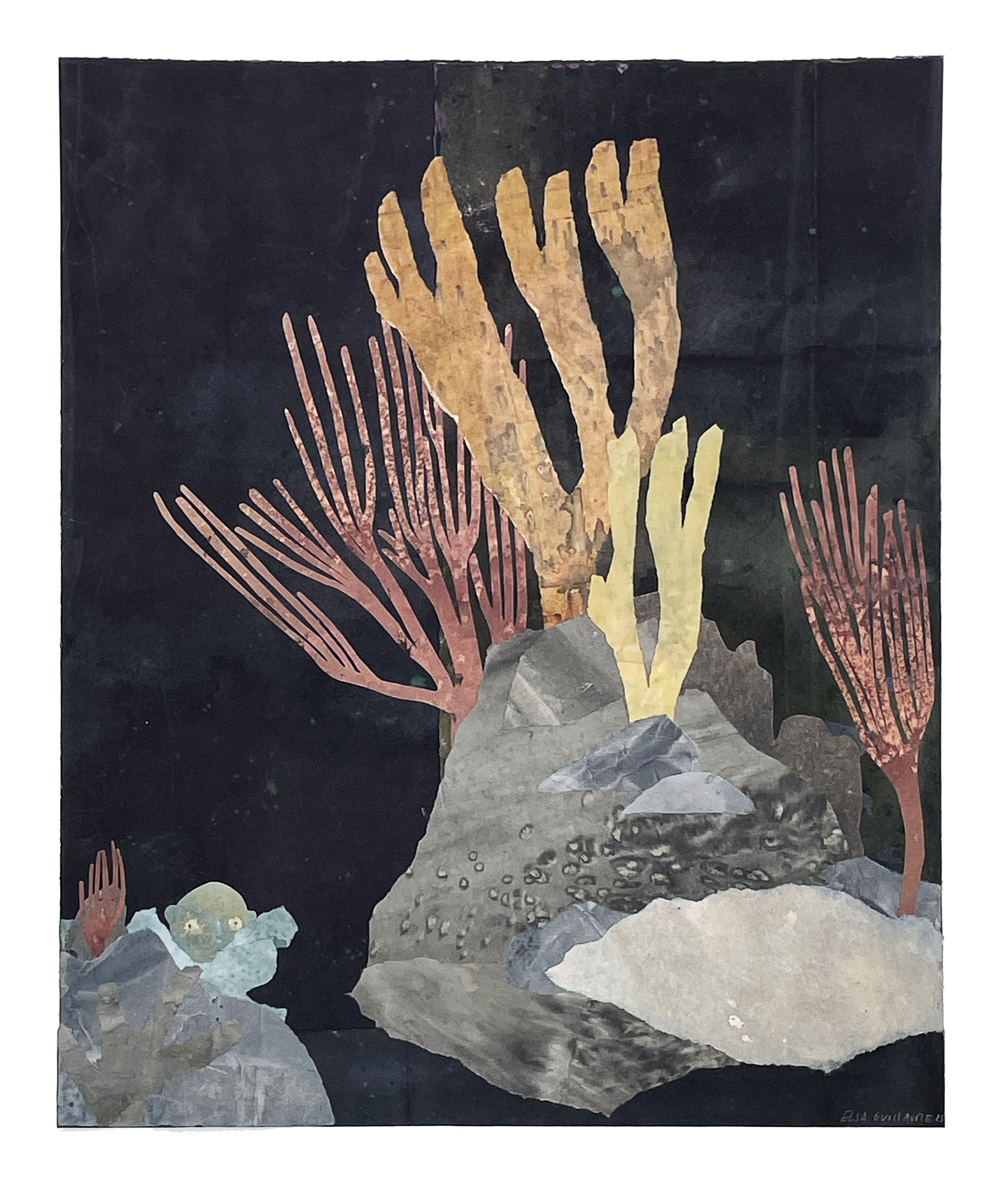 Jardin_marin_3.jpg