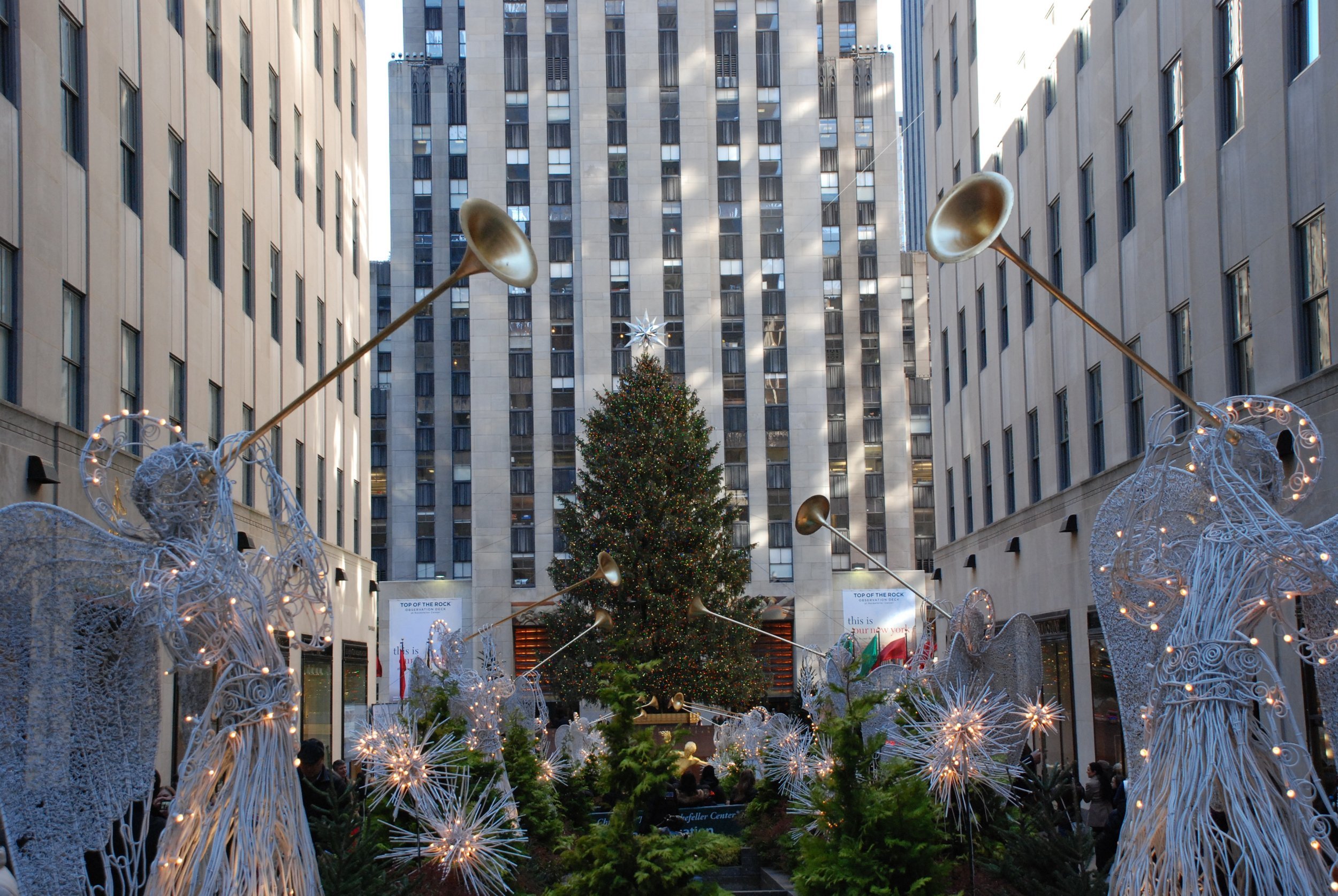 DSC_4206.jpg