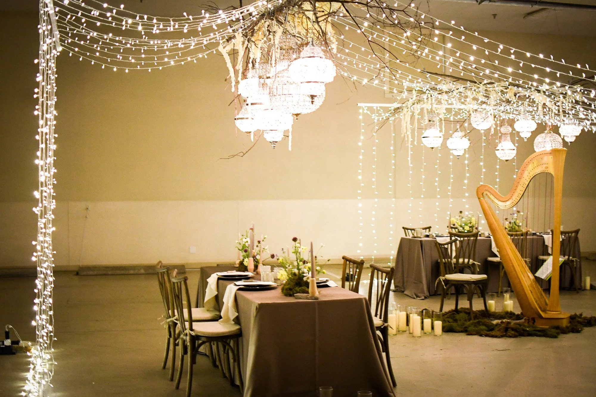 anavo-events-twinkle-light-canopy-harp-dining-experience.jpg