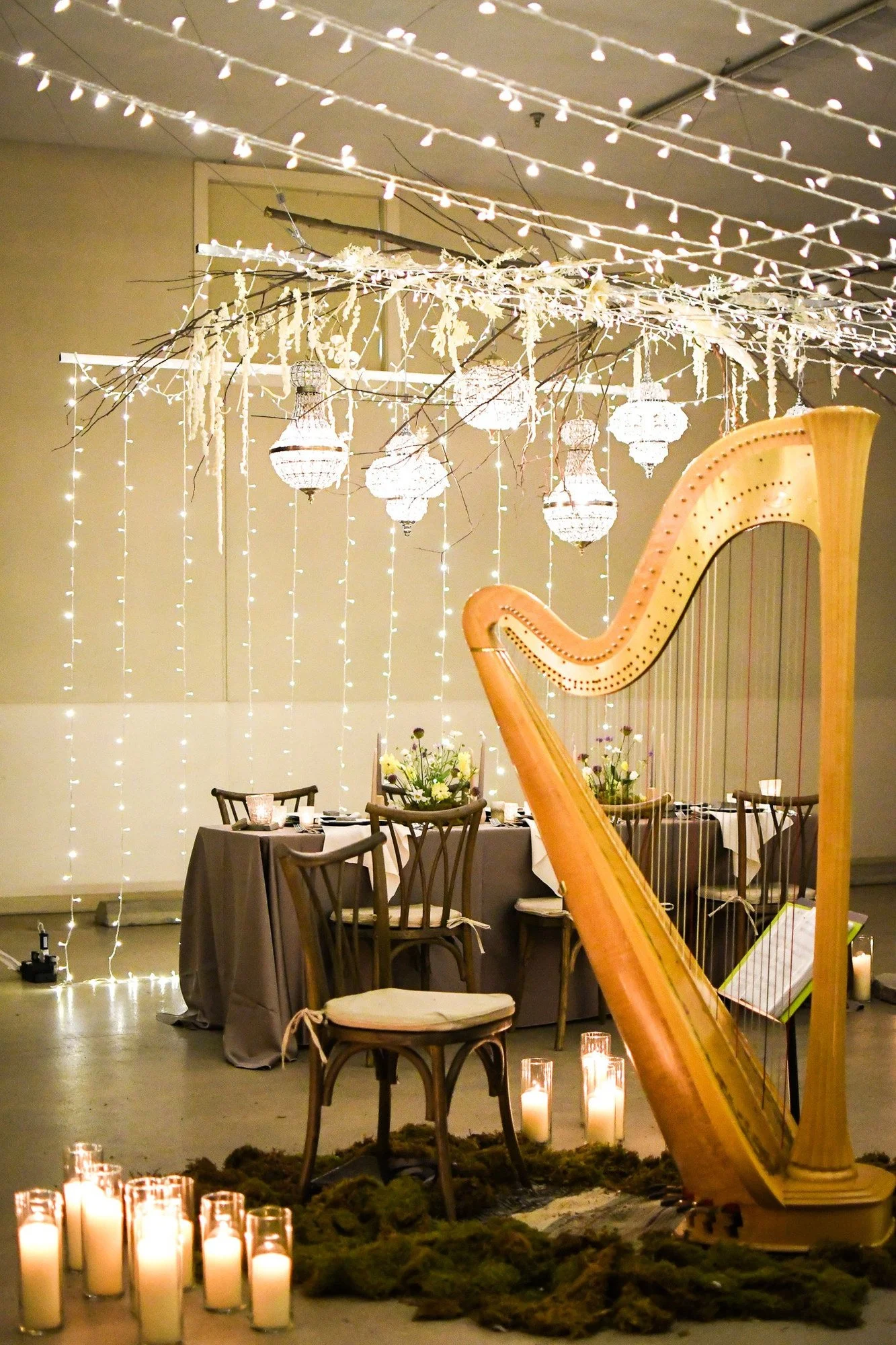 anavo-events-harp-lighting-installation-private-dinner.jpg