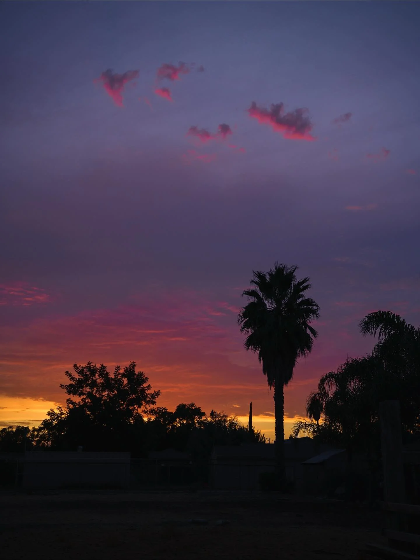 Color, for when your feed is getting a little heavy on the black and whites. 😬😅😂 Sunset the other night was glorious! All the humidity in the air giving extra clouds and color. I just had to walk outside my front door to enjoy the show.