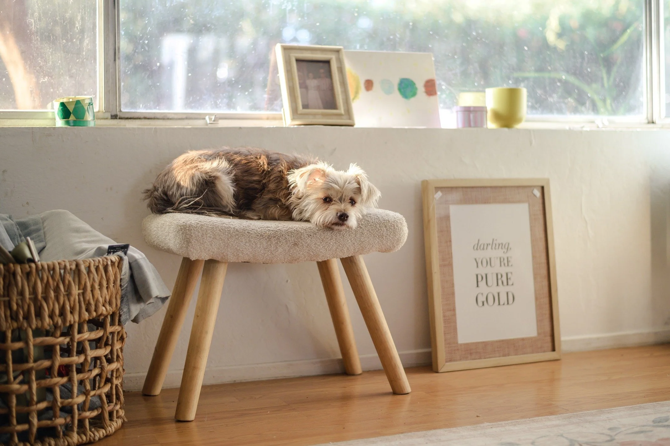 I fell asleep to the pitter patter of the rain last night. And this morning the whole world feels fresh and clean. Lily and I are taking a moment to just sit and enjoy it.