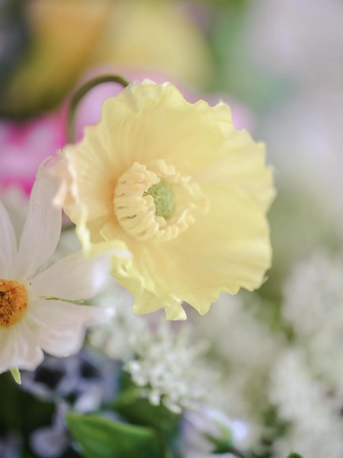 Just me scrolling my feed and noticing I got a little distracted from attempting one picture a day. yes, that&rsquo;s what i&rsquo;ve been doing. cause i really don&rsquo;t understand Instagram and how to use it. Reasons I play on Threads more. 🙃 Bu