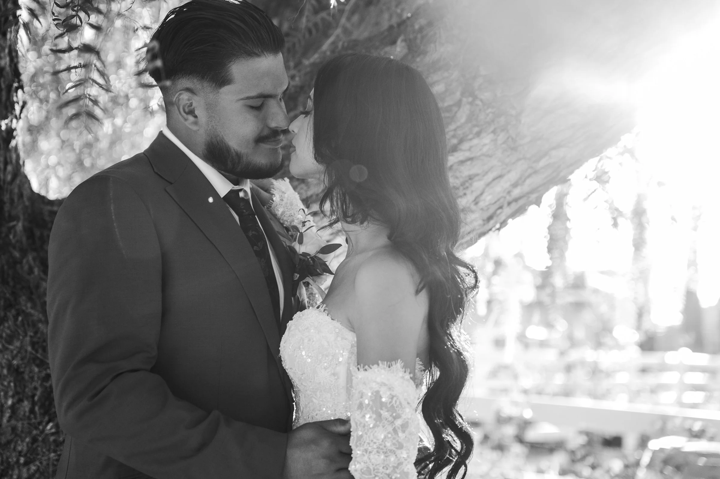 Favian &amp; Araceli