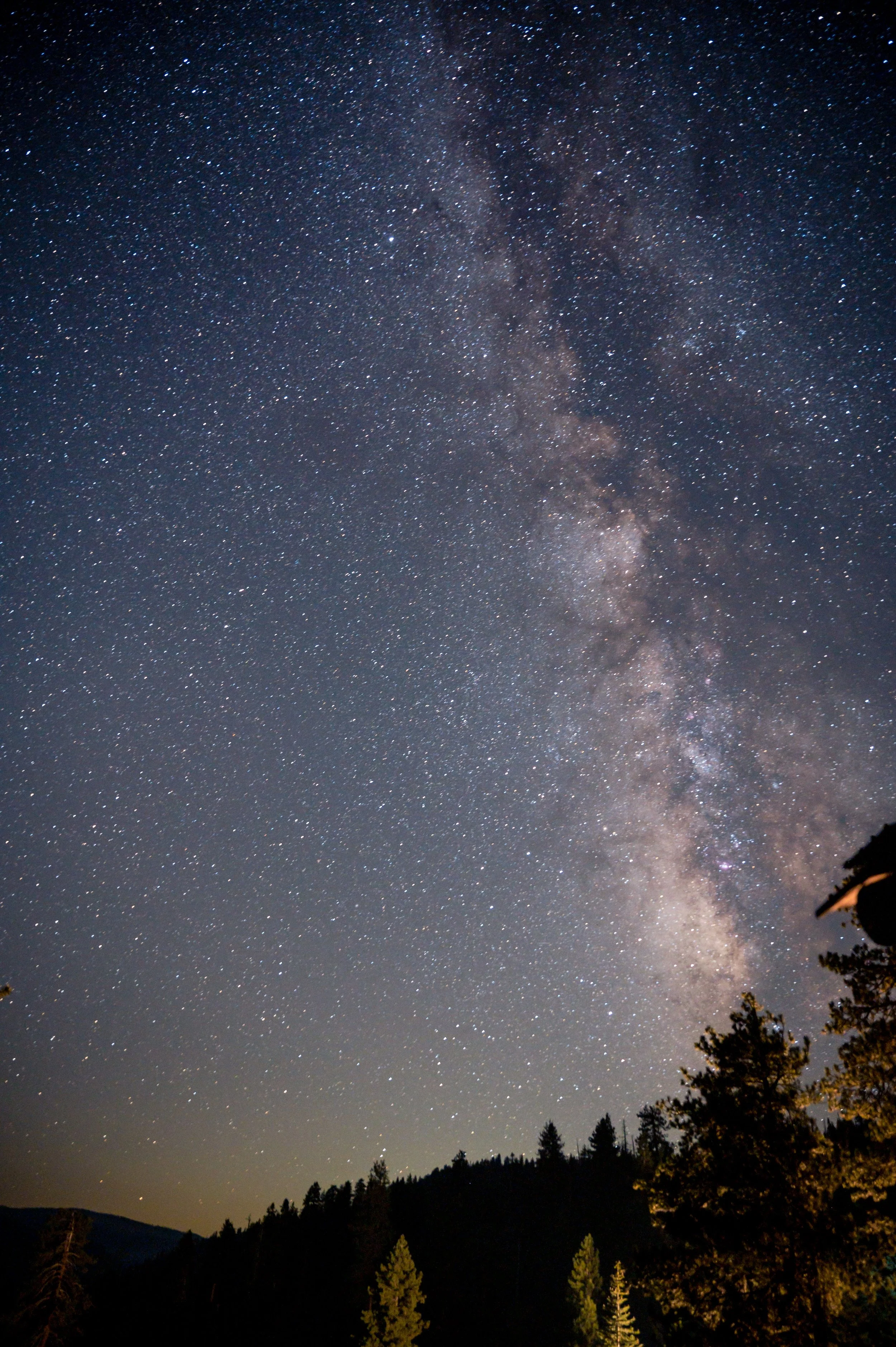 Night sky filled with countless stars and the Milky Way galaxy, with silhouettes of trees and a mountain landscape in the foreground.