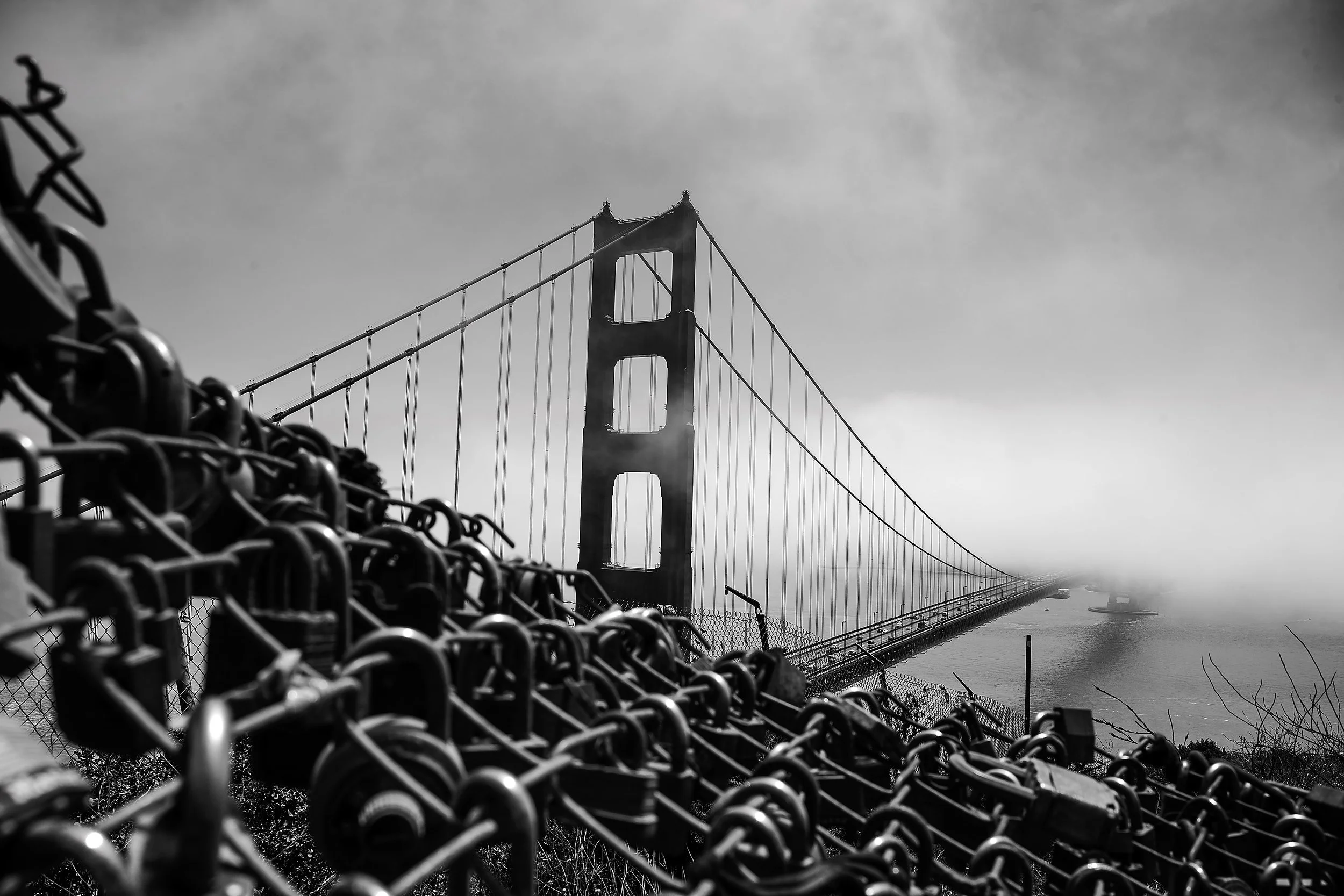 SQ7214152 - Golden Gate Caged - 8x12.jpg