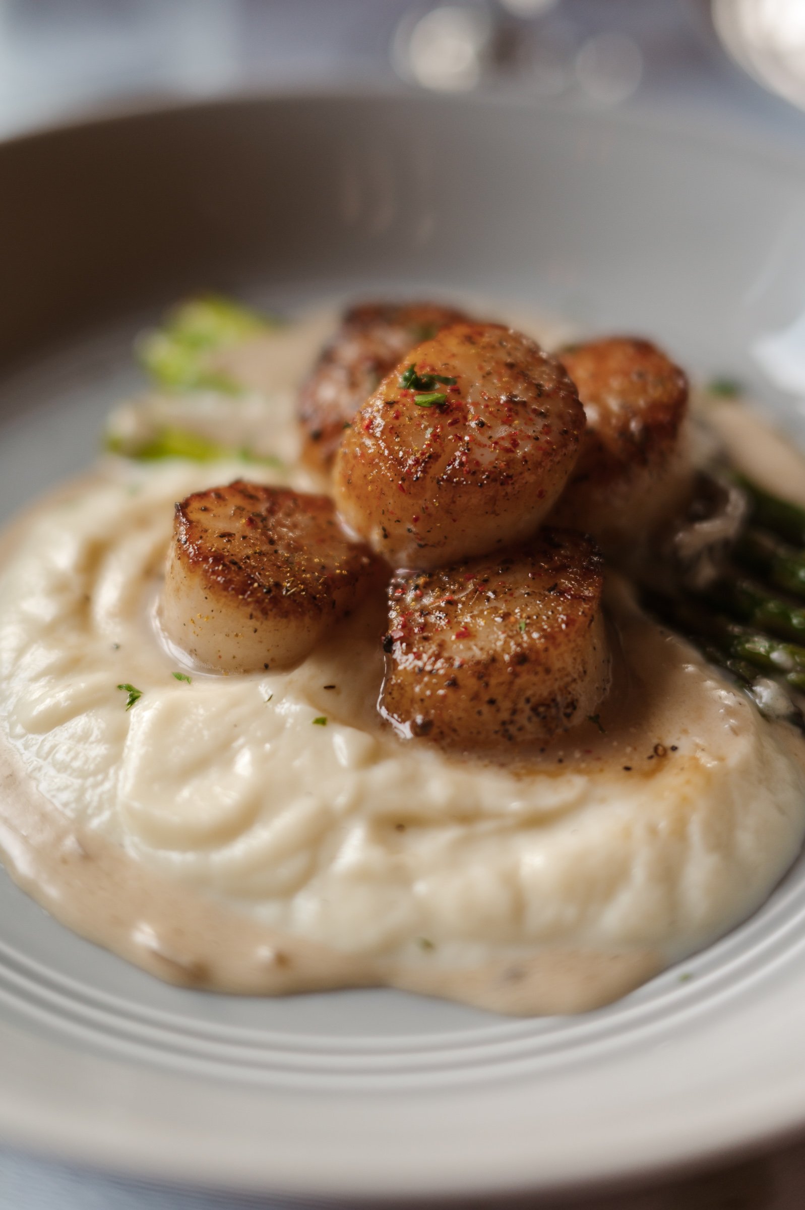 Close-up of cooked scallops on a bed of creamy sauce, garnished with chopped herbs, in a bowl or container.
