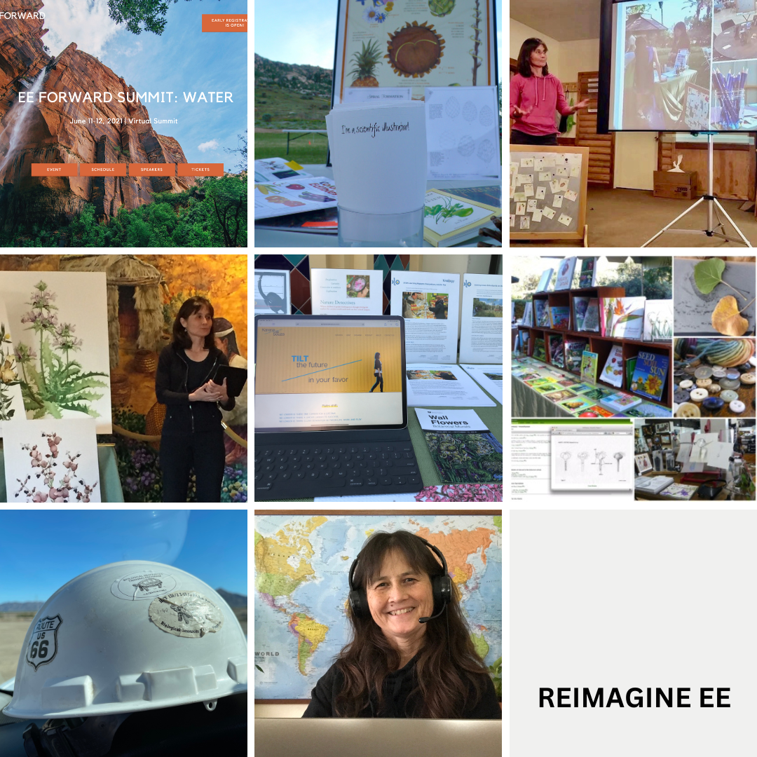 What’s an Environmental Professional?