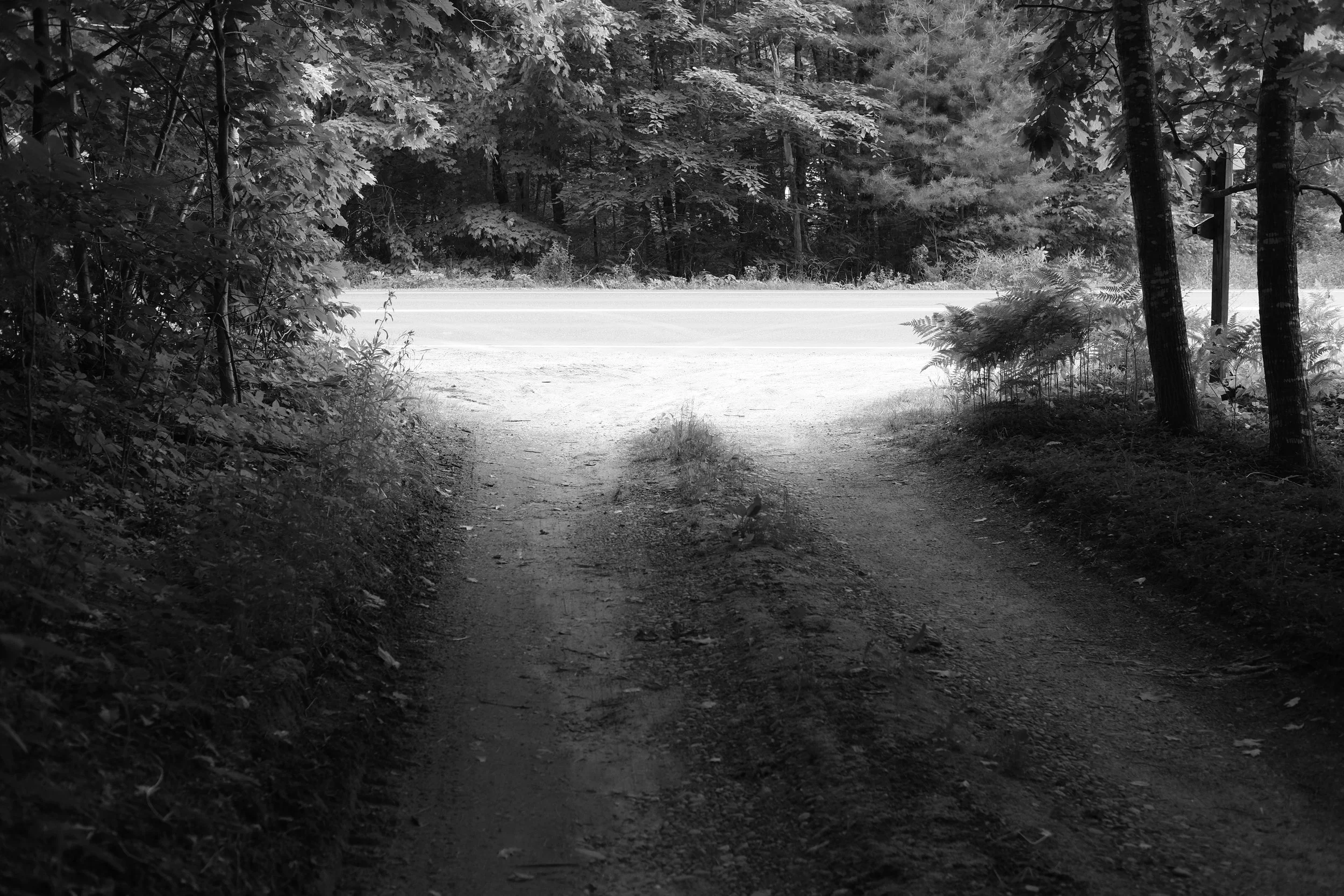 DSCF1961.JPG