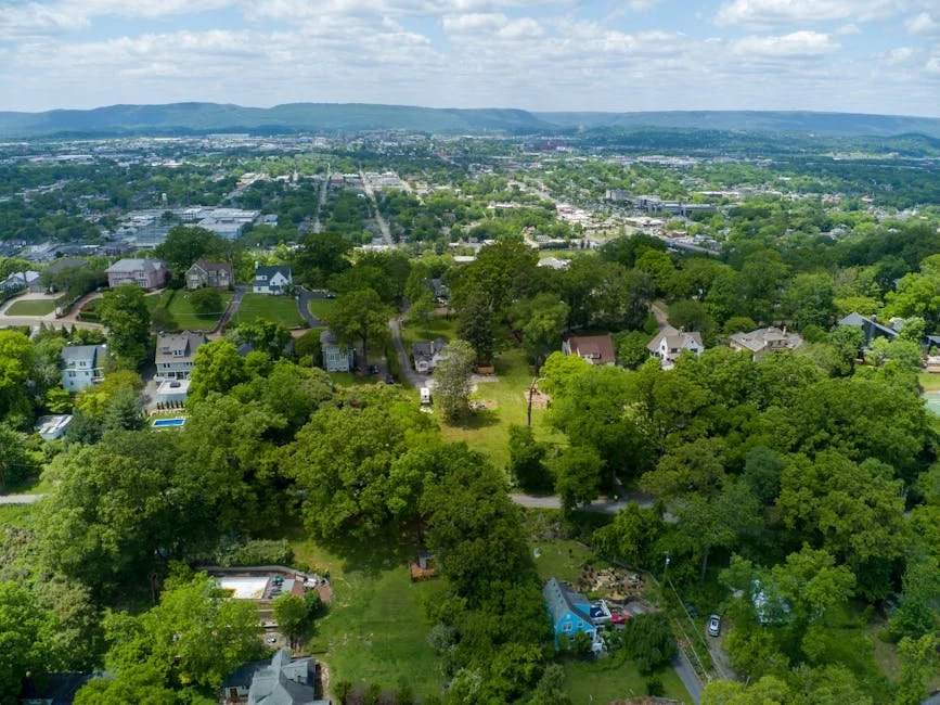 Unlocking SEO Success: Houston's Digital Marketing Experts