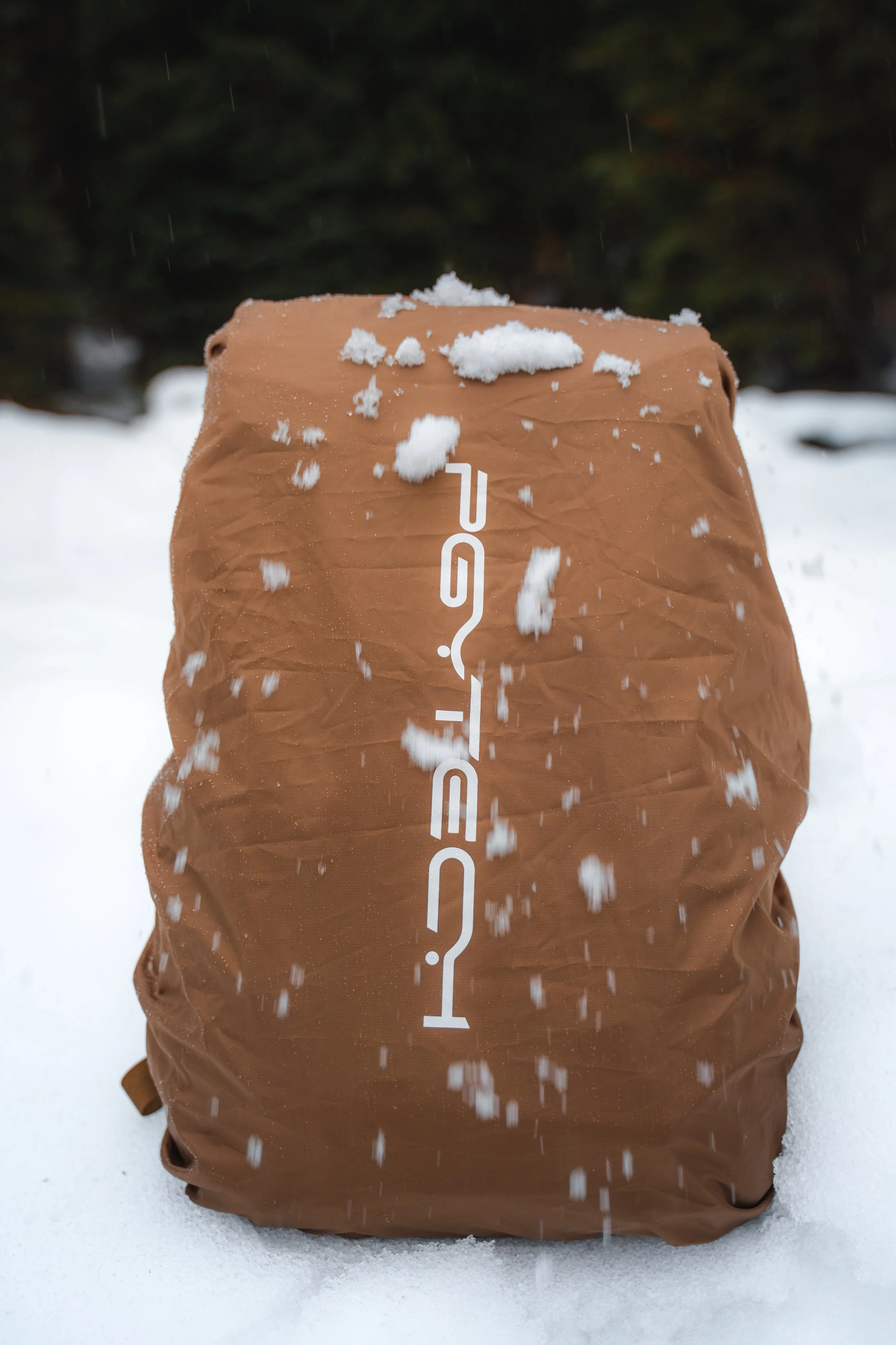Christaylorcreates x PGYTECH - Winter OneMO Tac Content-3.jpg