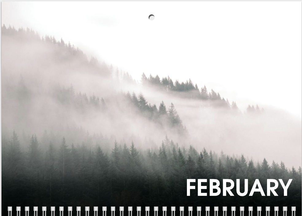 Screenshot 2024-12-14 at 9.28.39 PM.png
