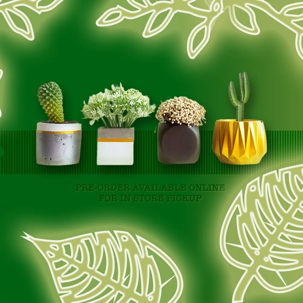 ThePlantPrince_07.jpg
