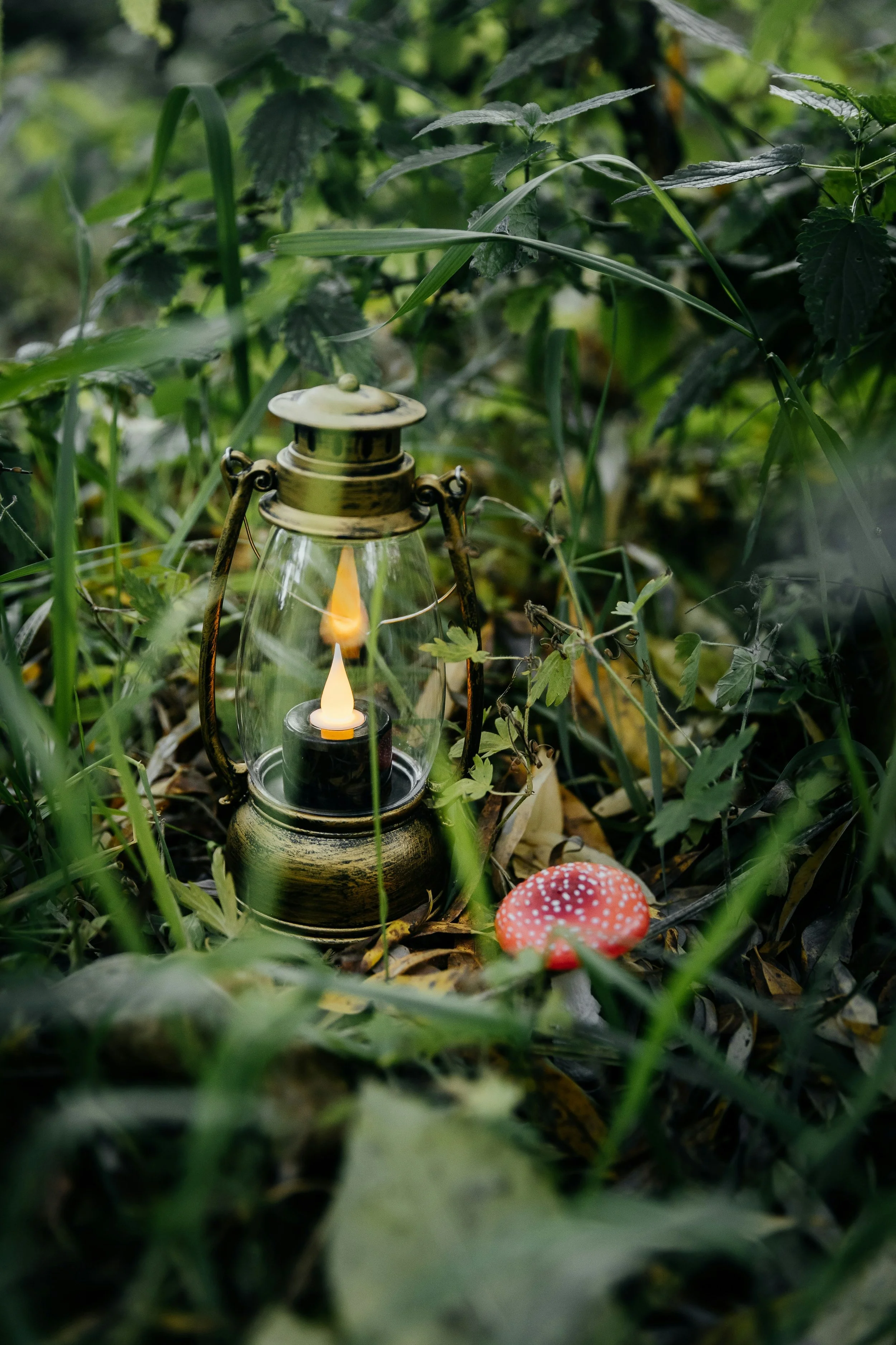 A vintage lantern with a flame inside is placed among green grass and leaves; small red mushroom with white spots is in the lower right corner.