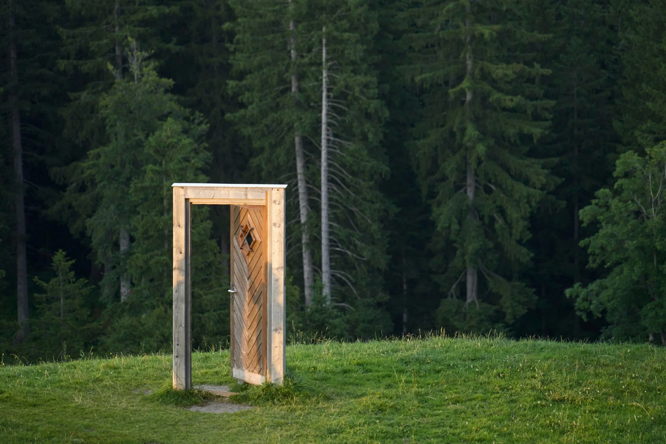 Sunlit forest path leading to a weathered door, evoking the threshold between the known and unknown